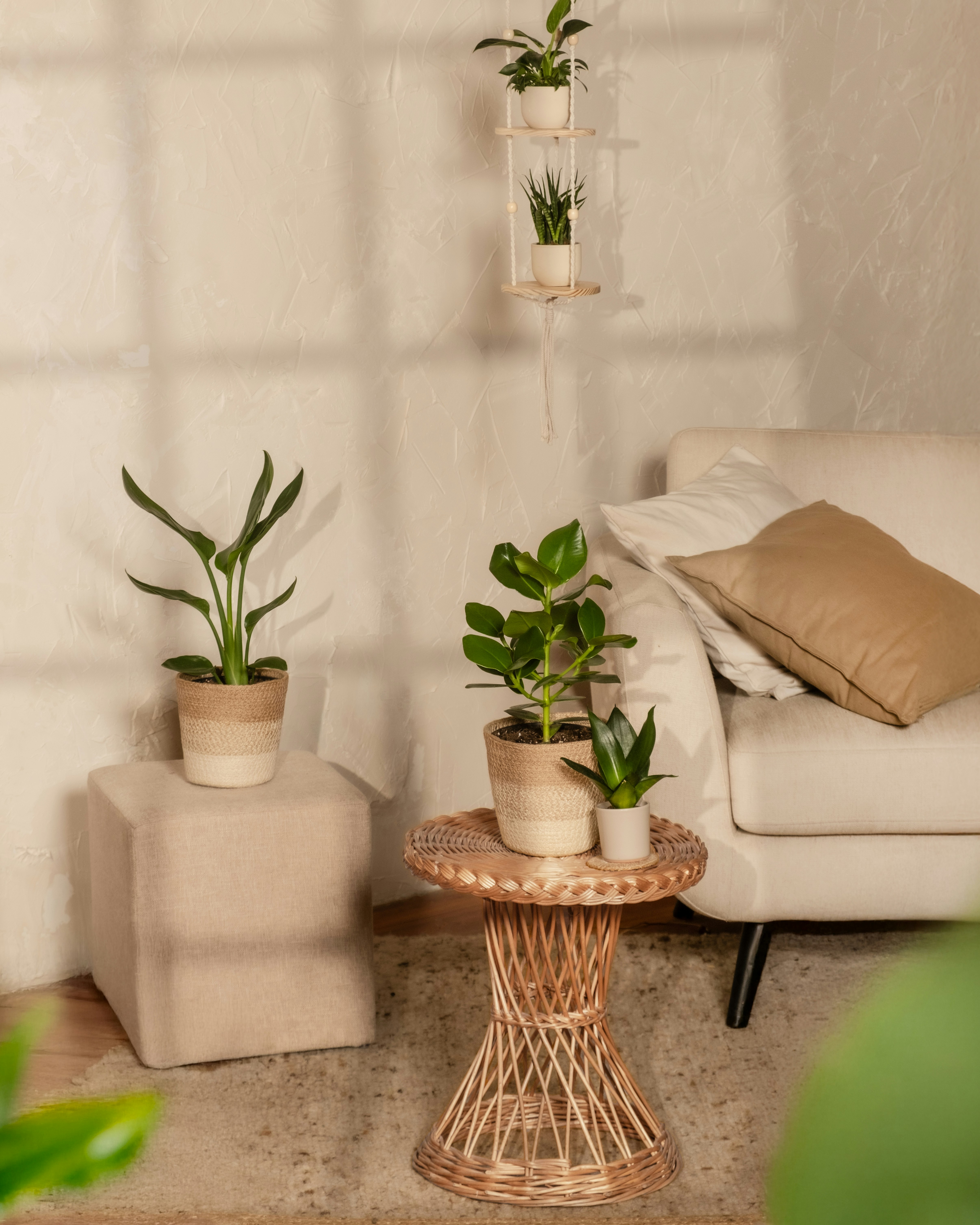 Photo by feeypflanzen