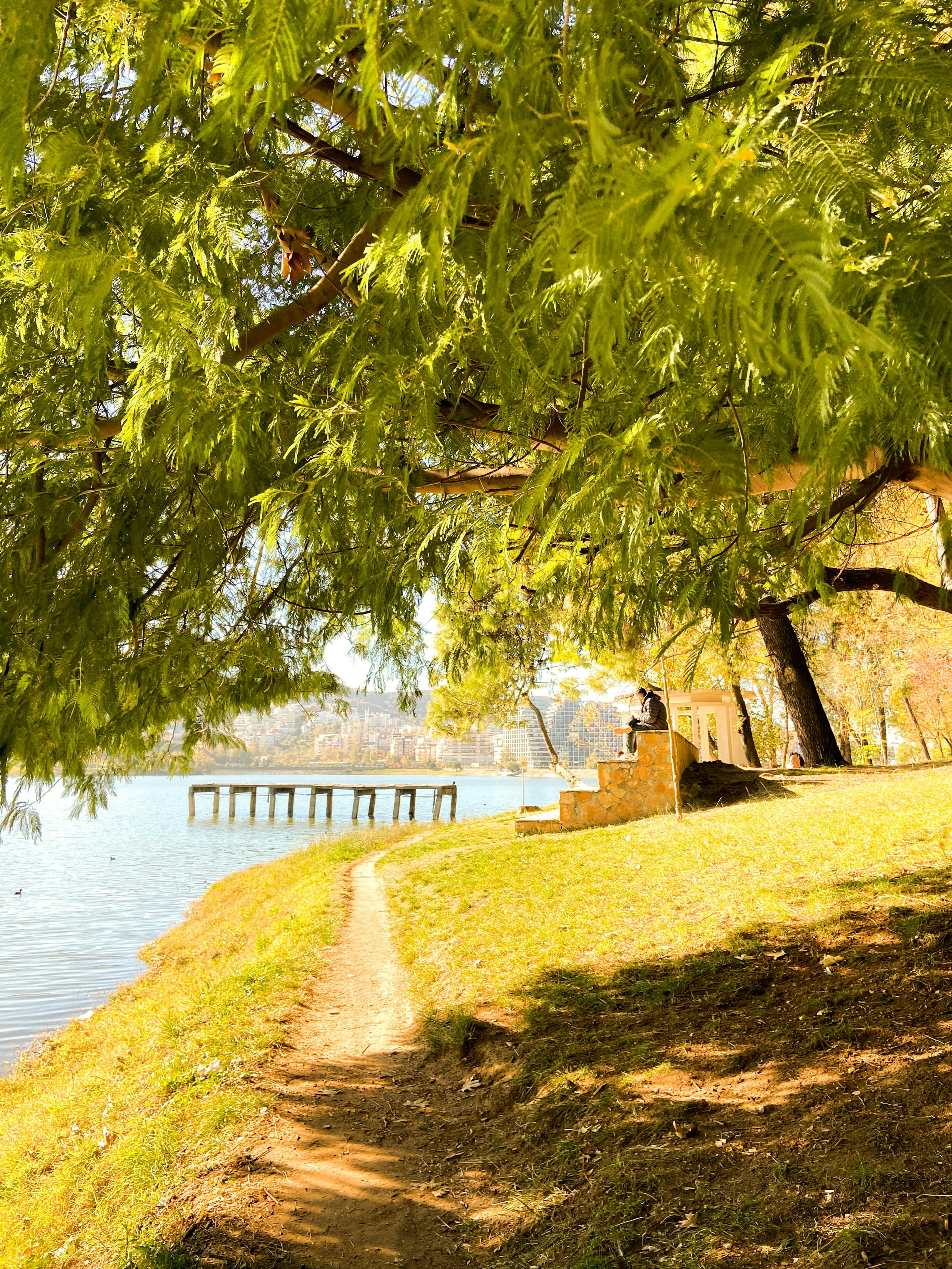 Photo by anjaleemingbecker