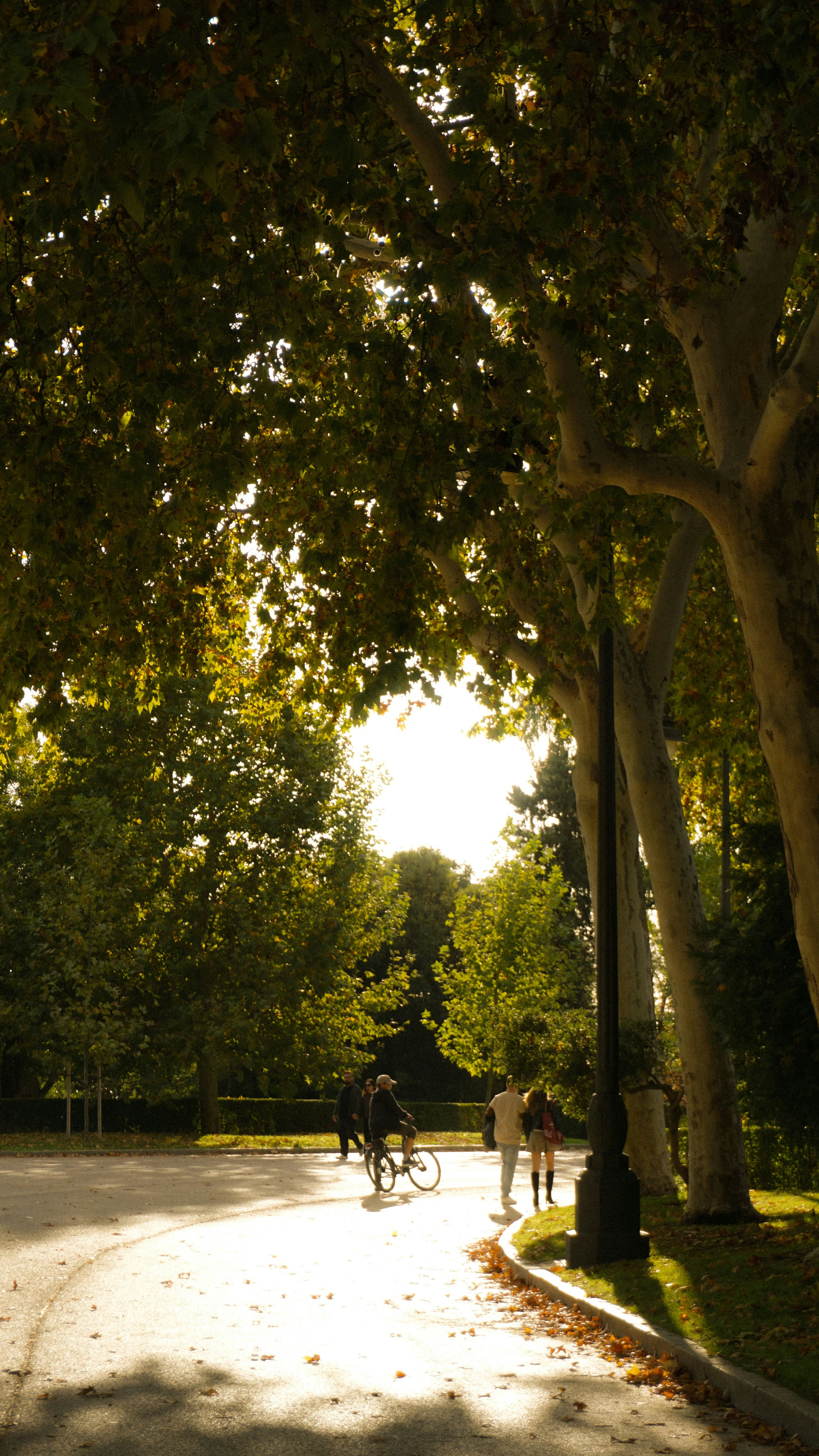 Photo by anjaleemingbecker