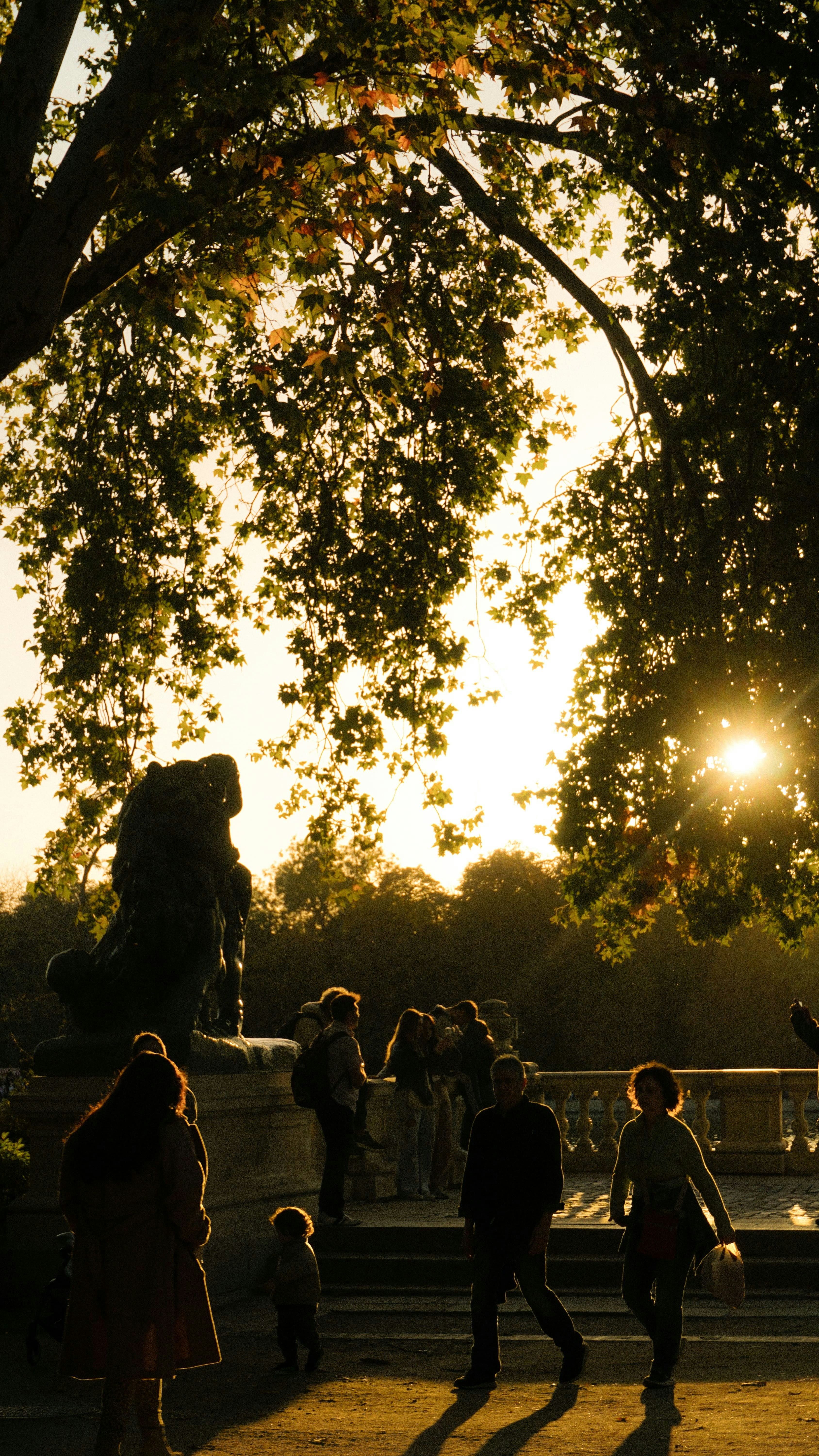 A group of people walking around a park at sunset