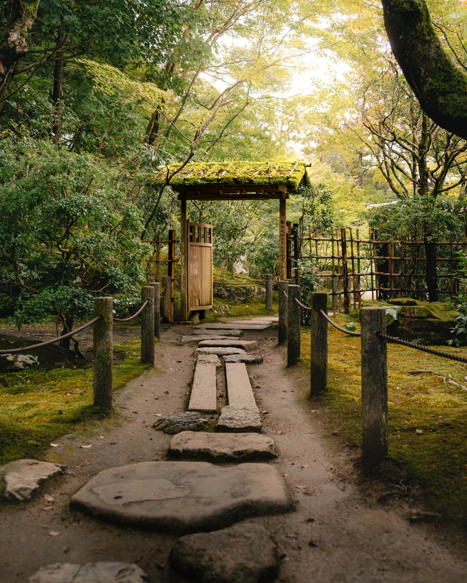 A stone path leading through a forest of fresh green maple trees toward a traditional Kyoto wooden temple structure, capturing the shinryoku season when cherry blossoms have passed and the city is filled with new green leaves