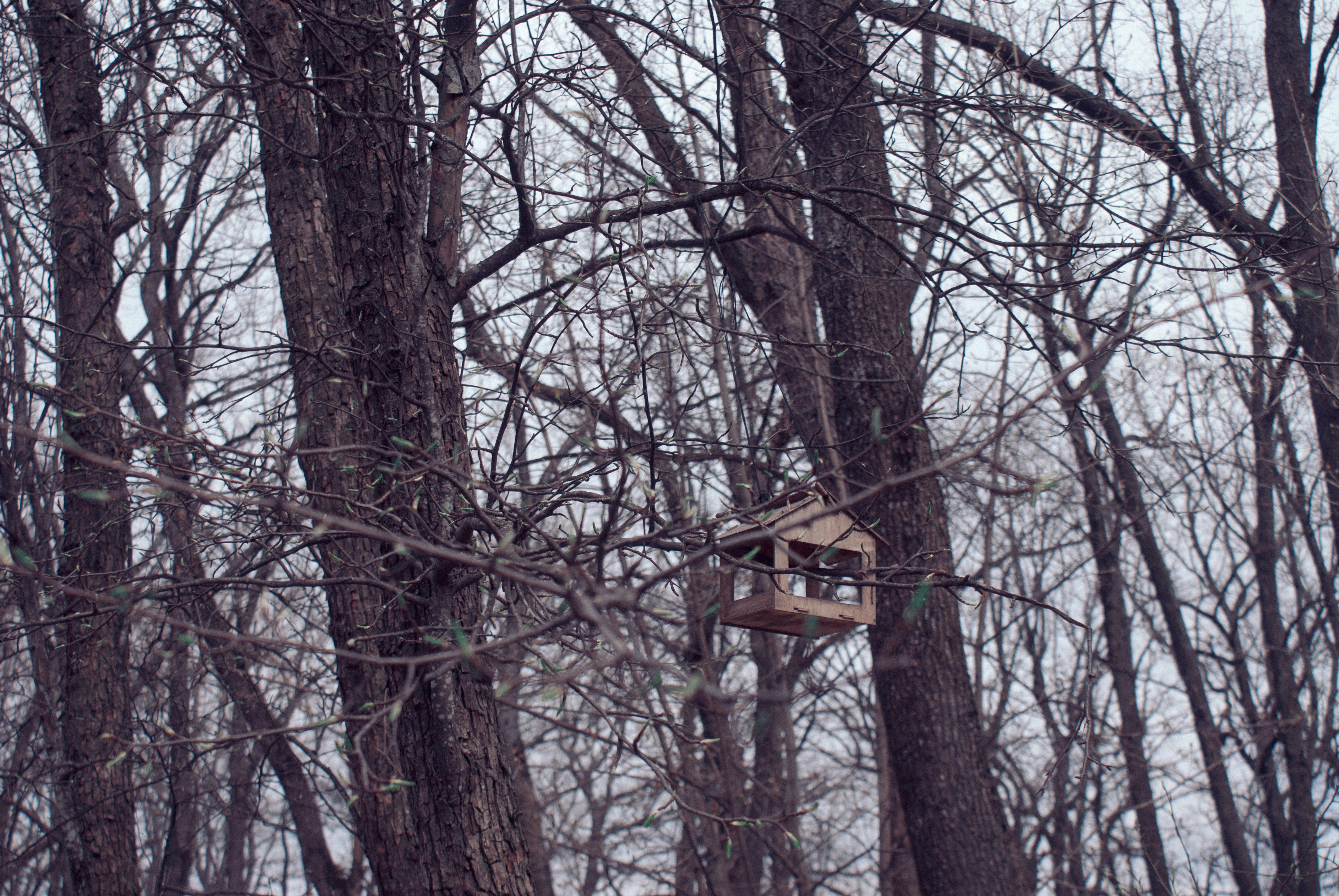 Photo by maks_d