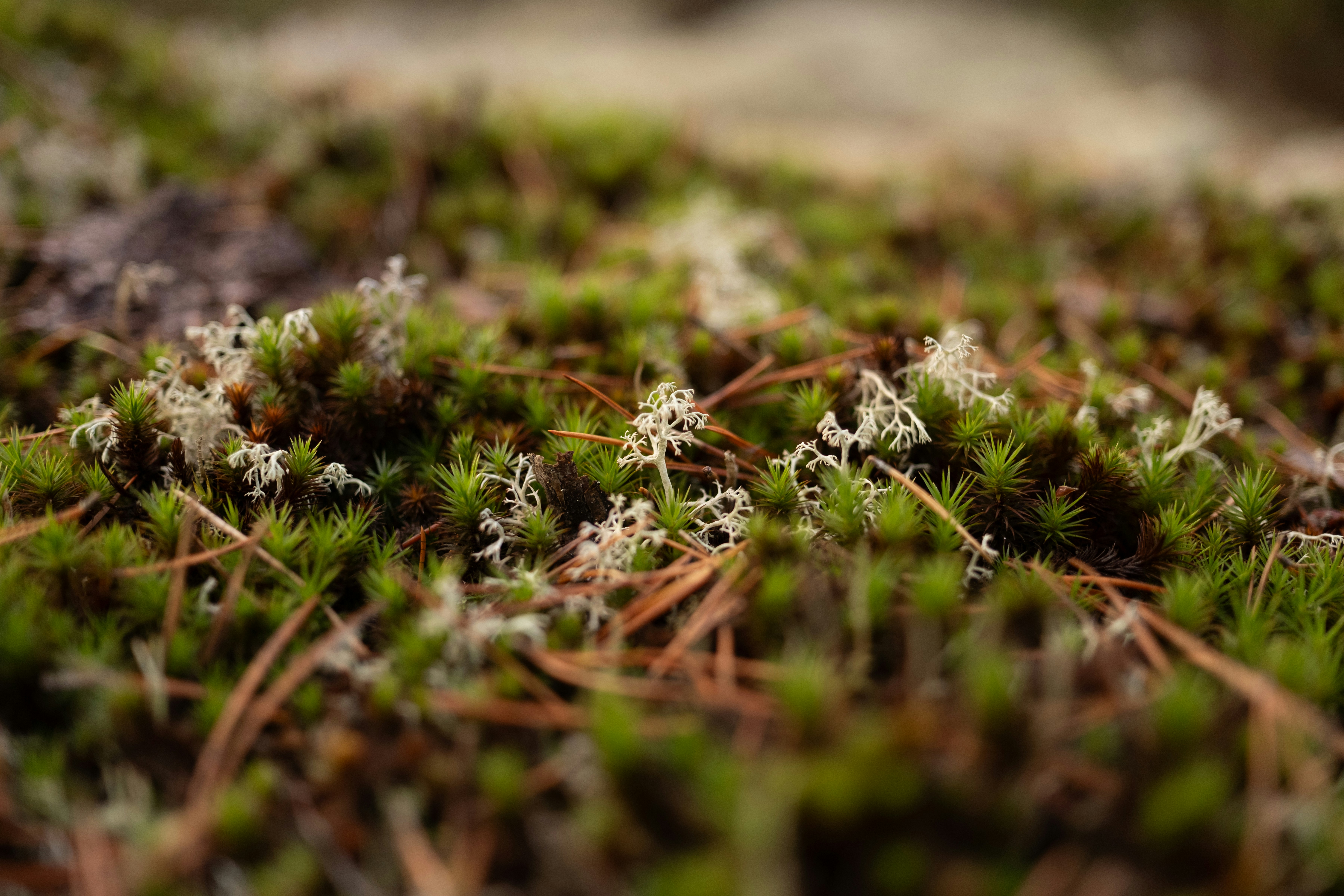 This week's best things