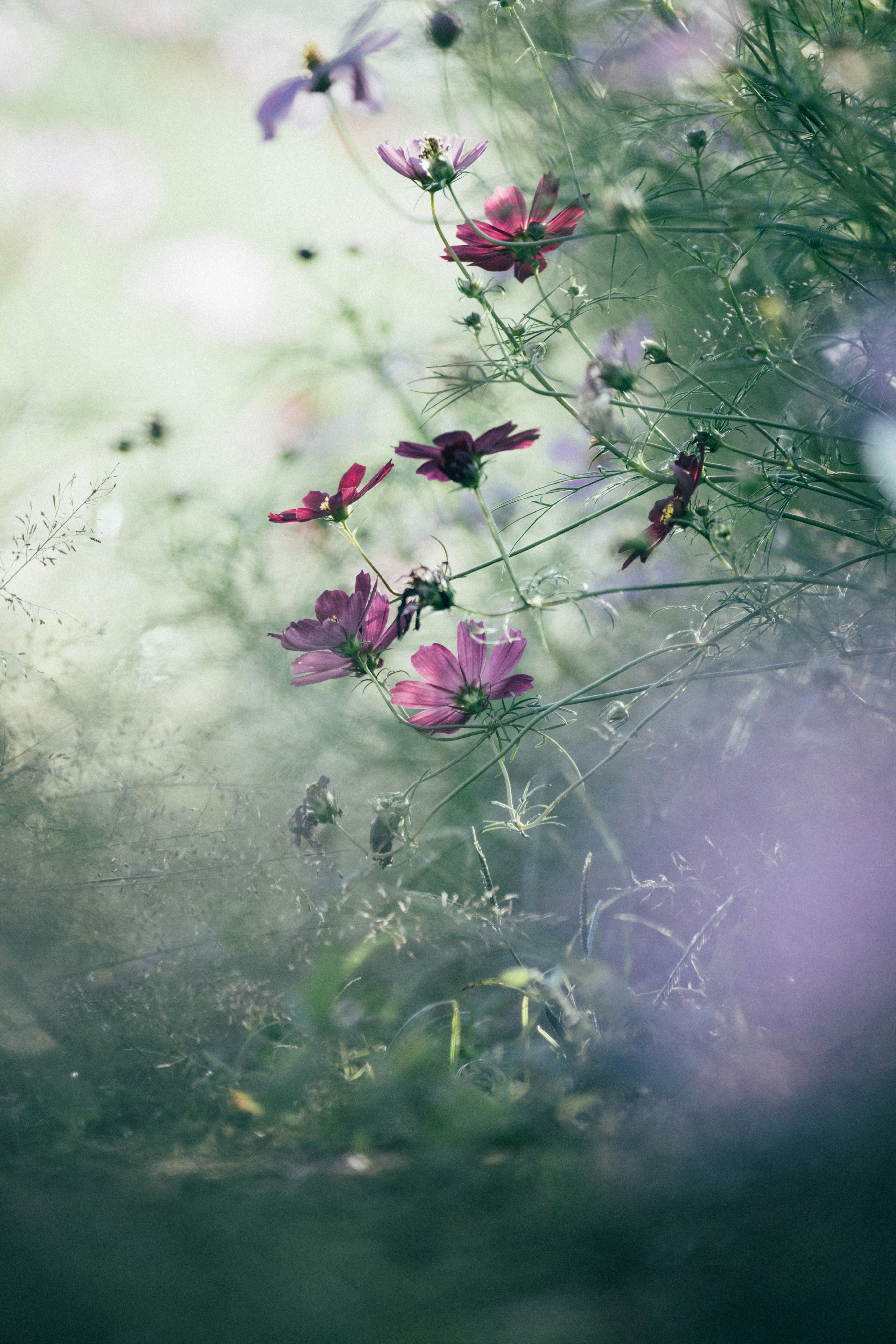 Photo by tsuyoshikozu