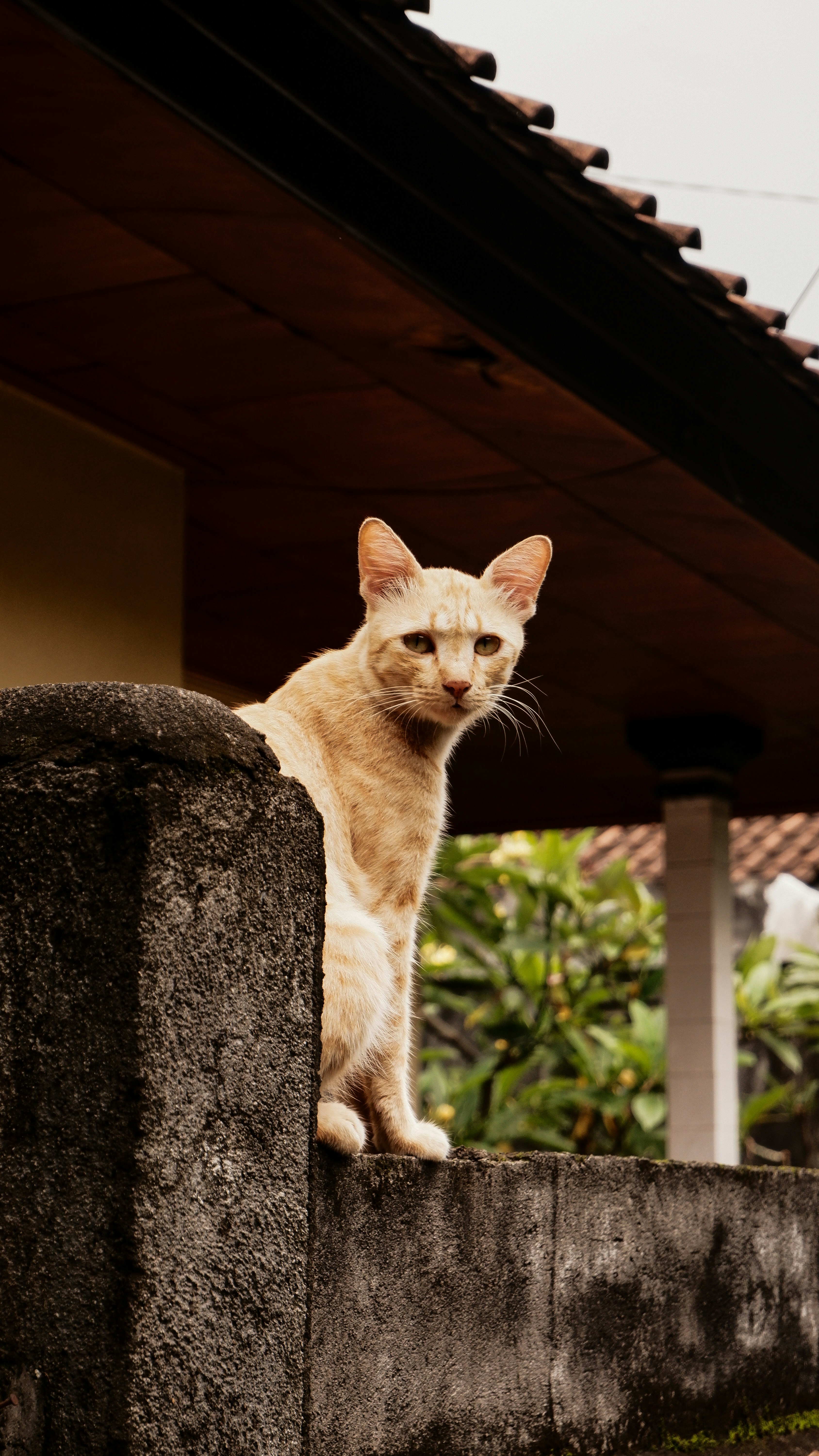 Photo by pradnyapranata