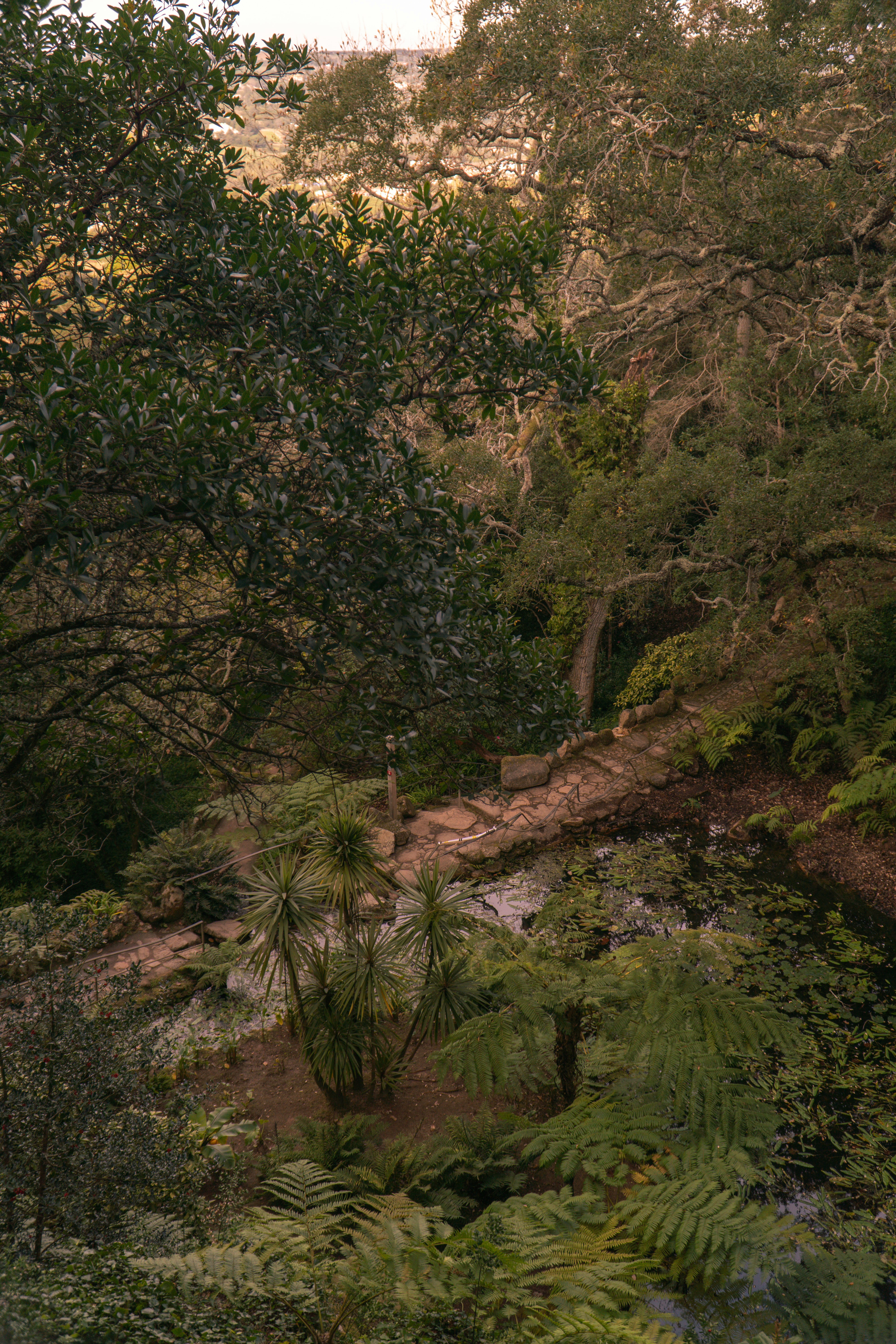 Photo by heythisisyulia