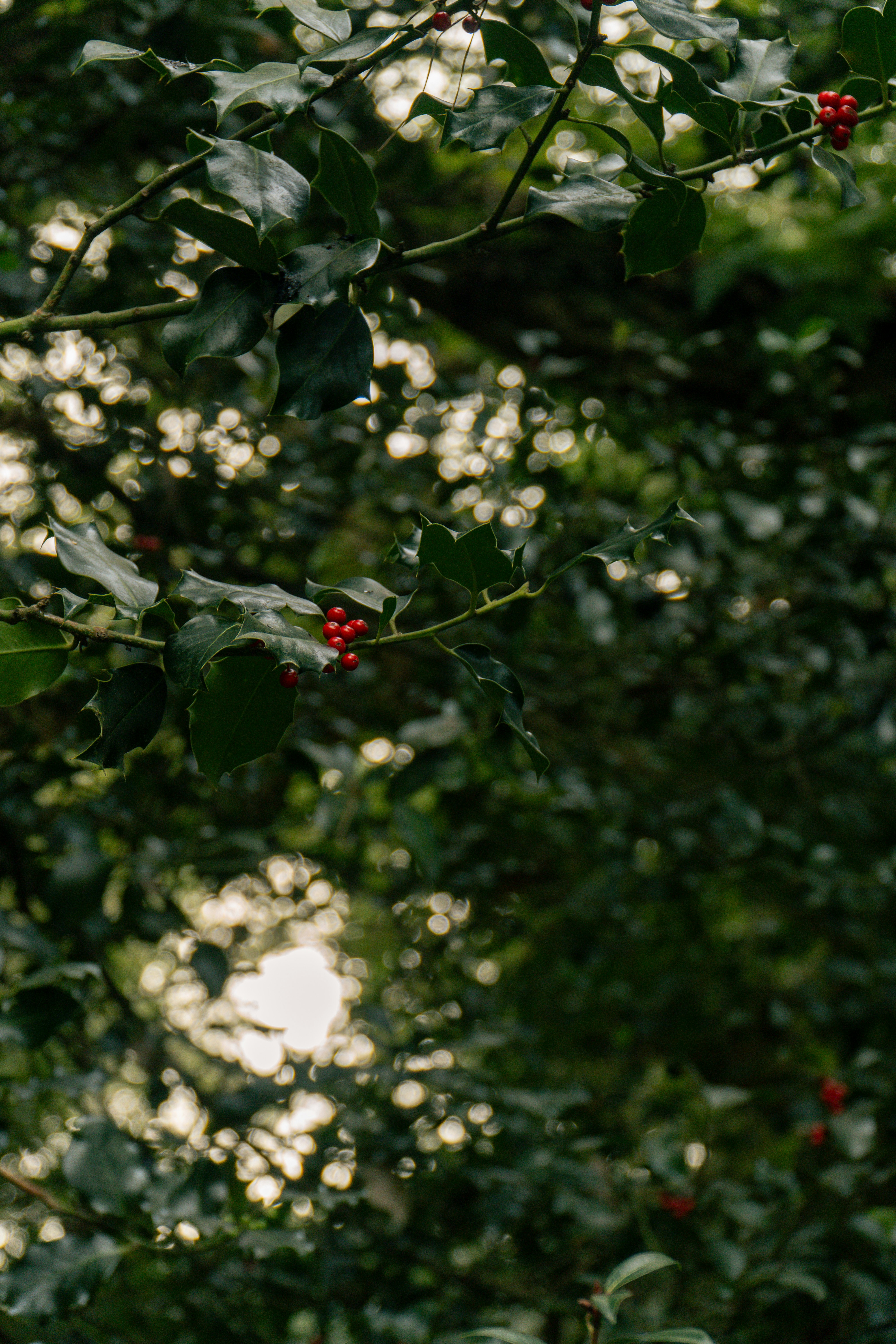 Photo by heythisisyulia