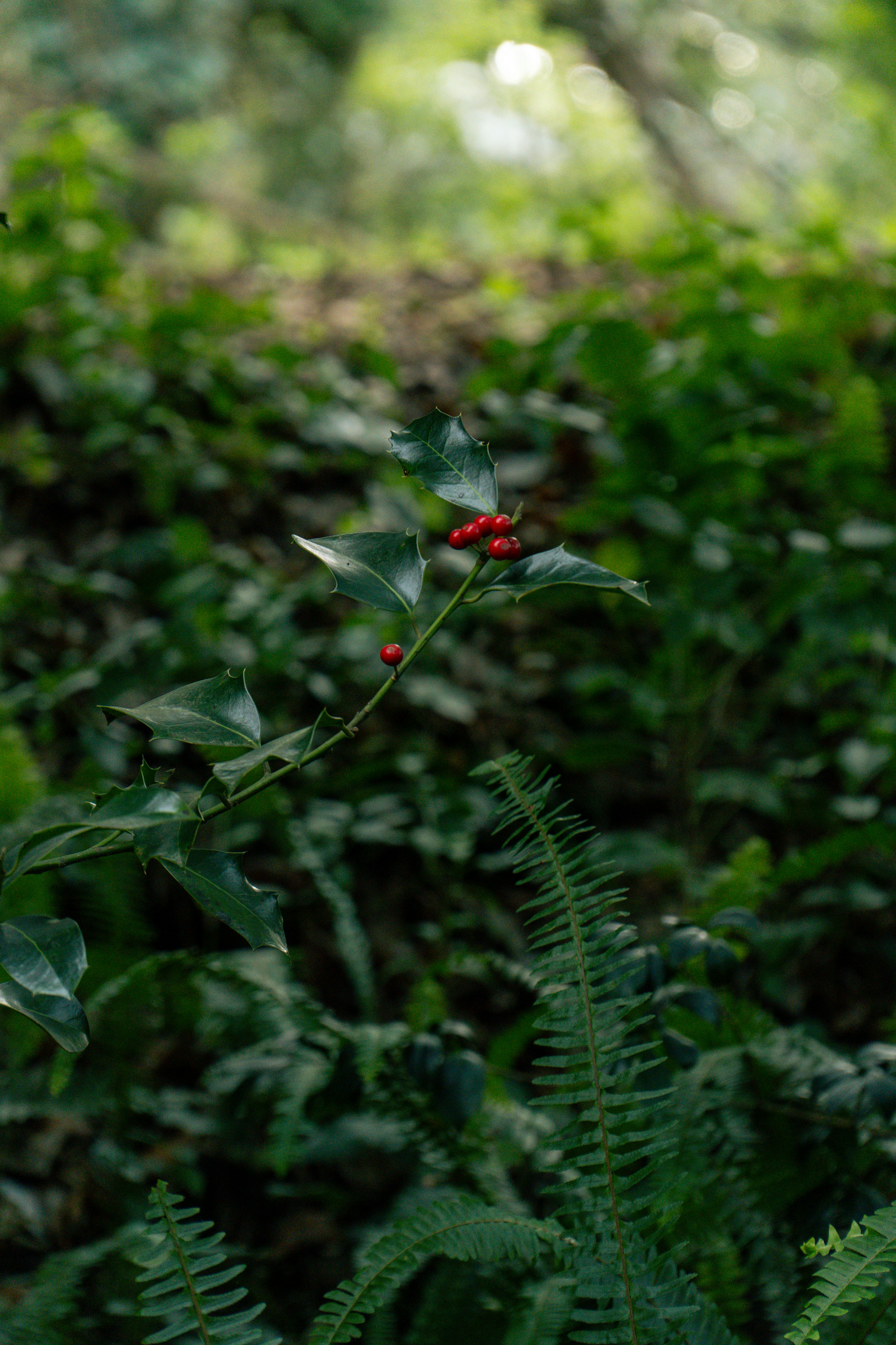 Photo by heythisisyulia