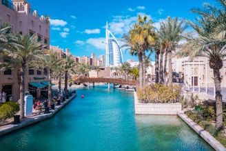 A river running through a city next to palm trees