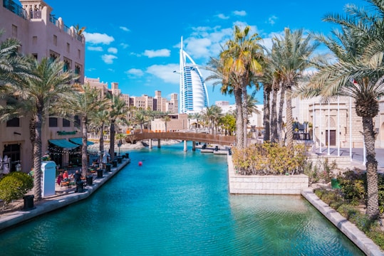 A river running through a city next to palm trees