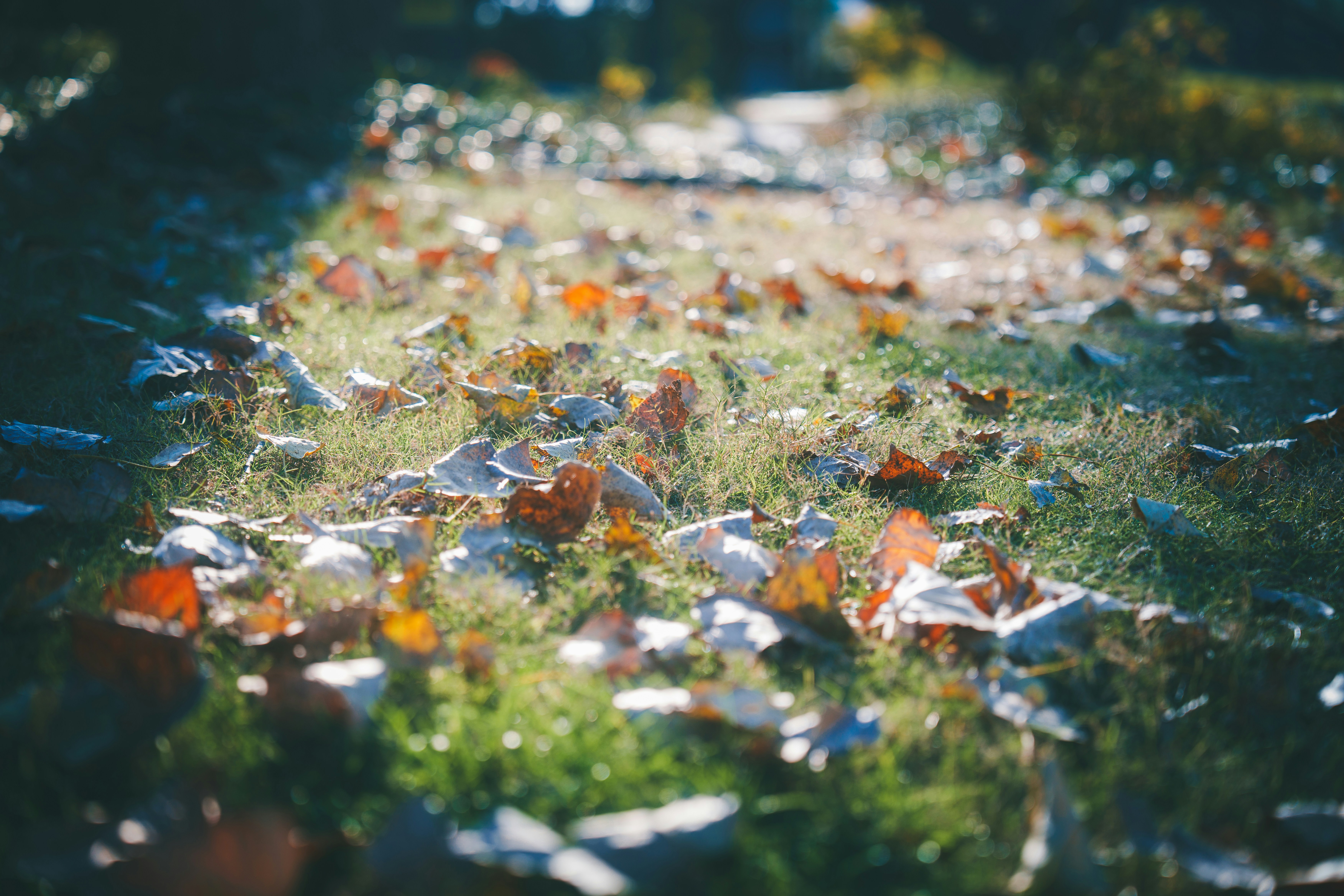 Photo by lightman0215