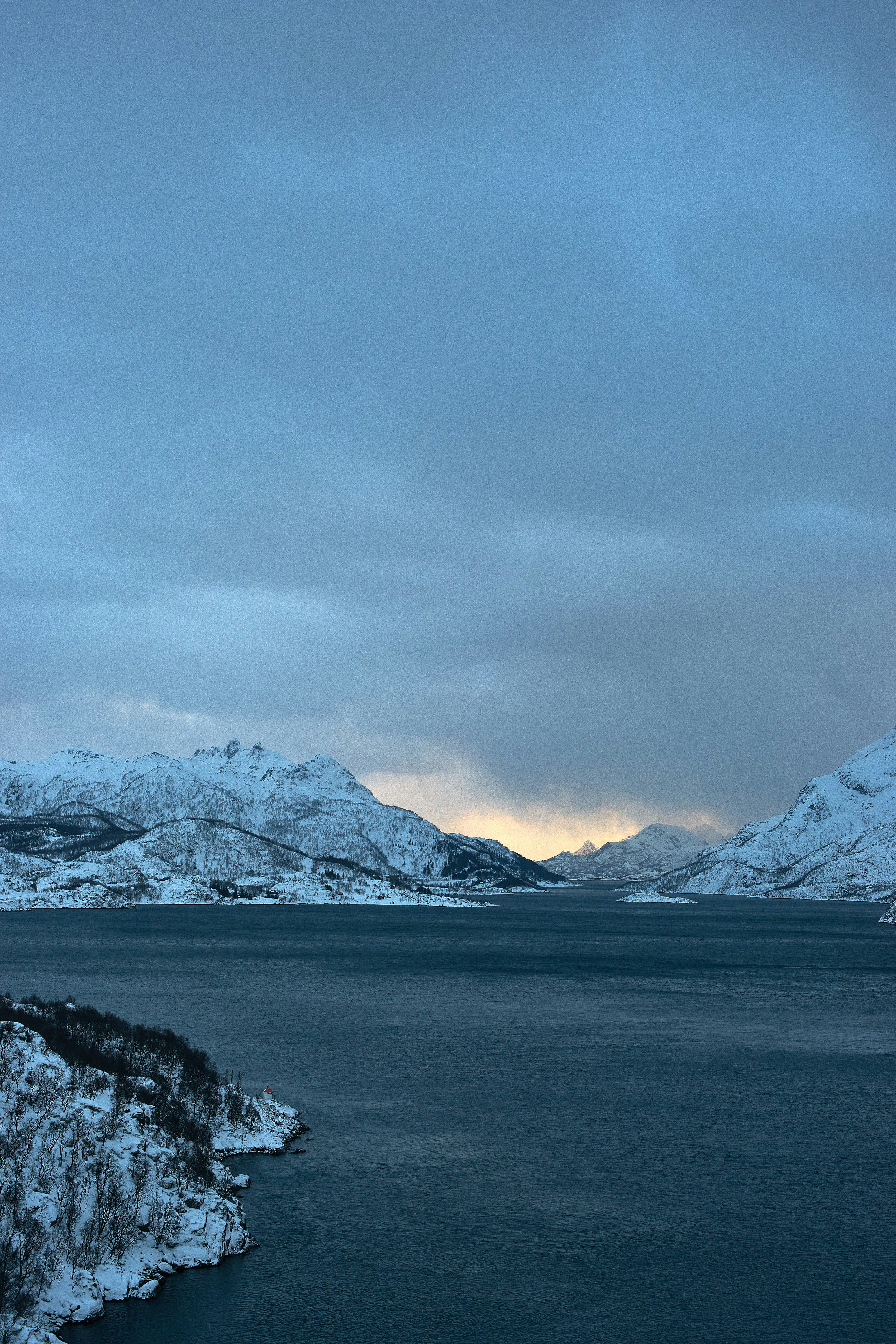 Photo by wolfgang_hasselmann