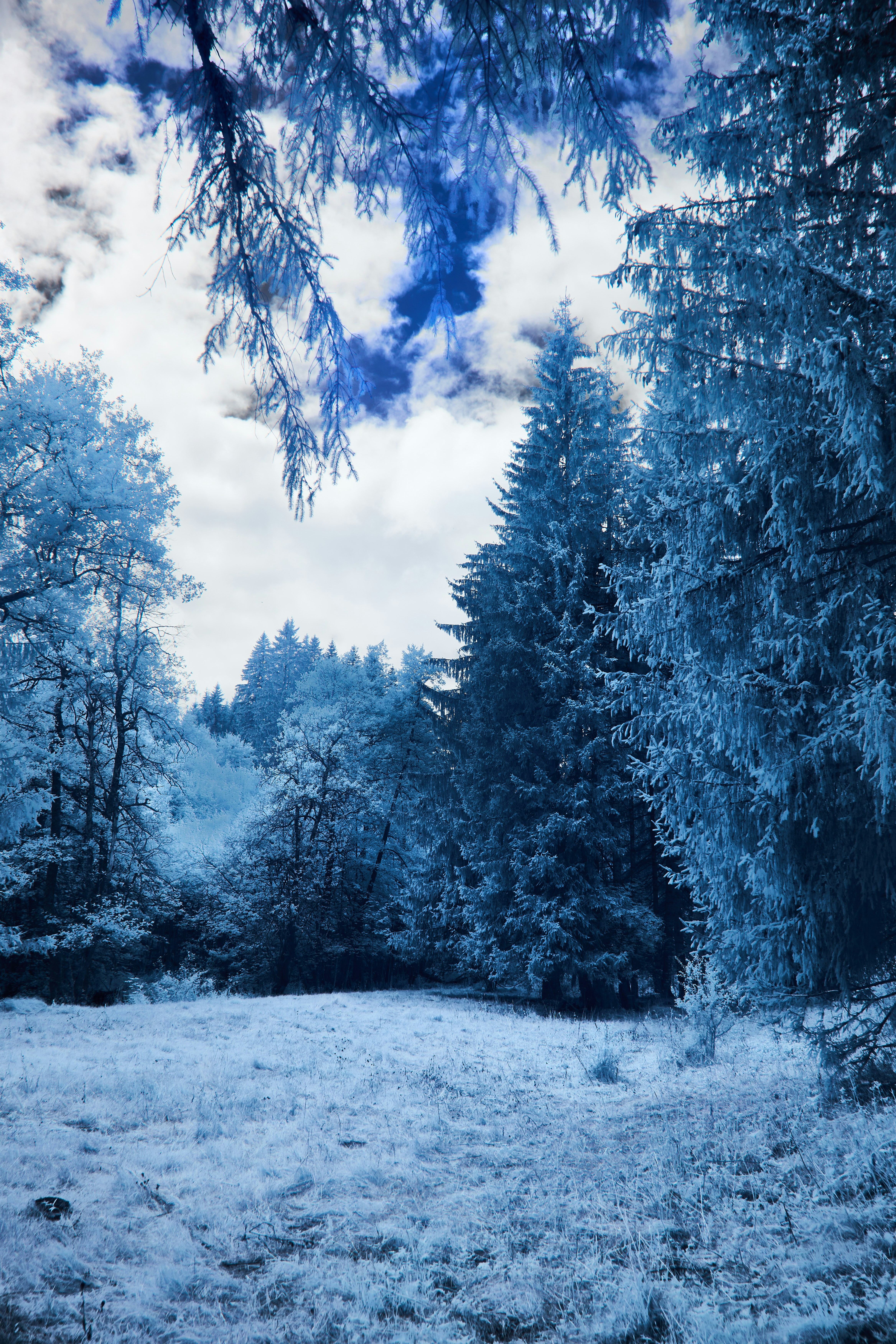 Photo by wolfgang_hasselmann