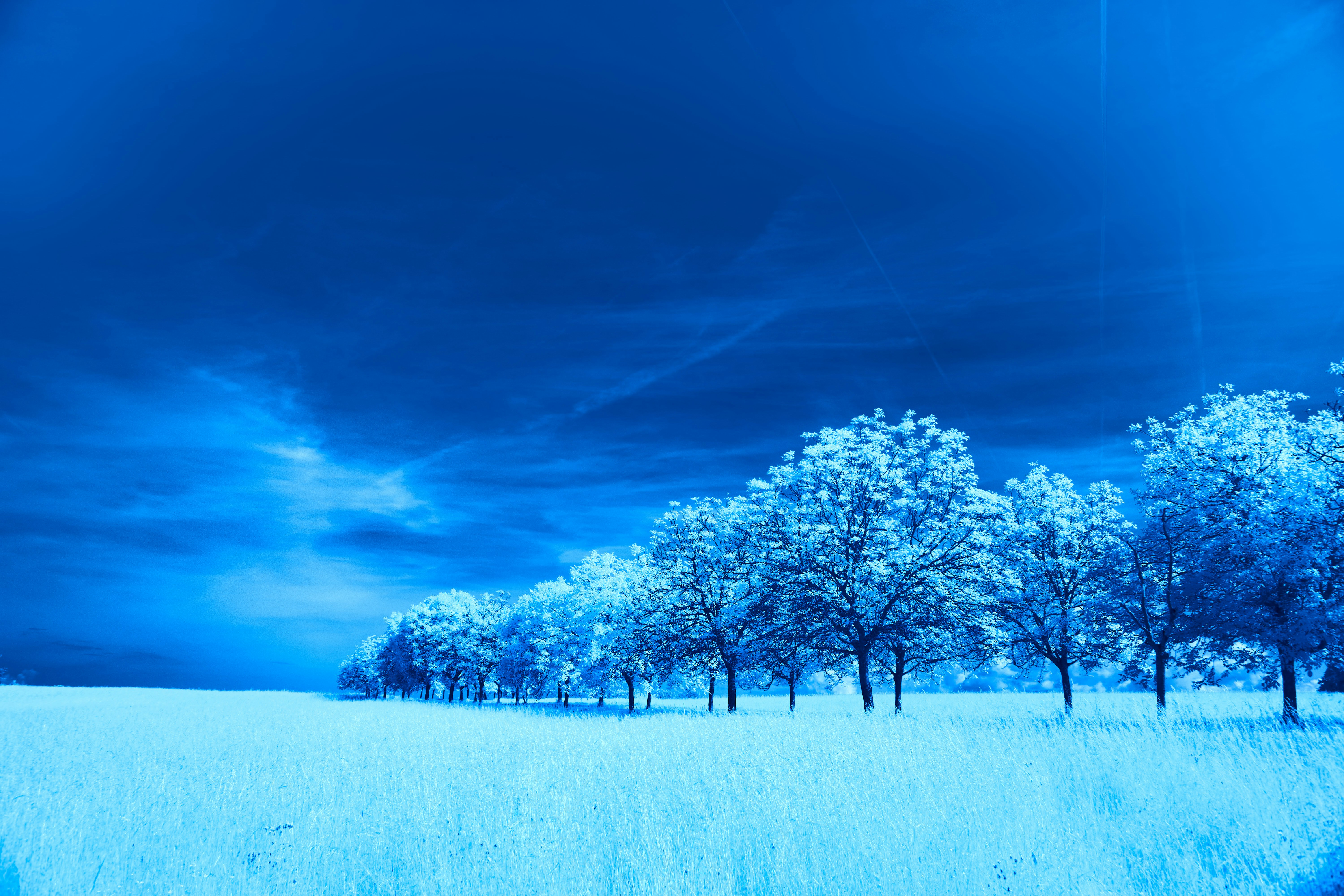 Photo by wolfgang_hasselmann