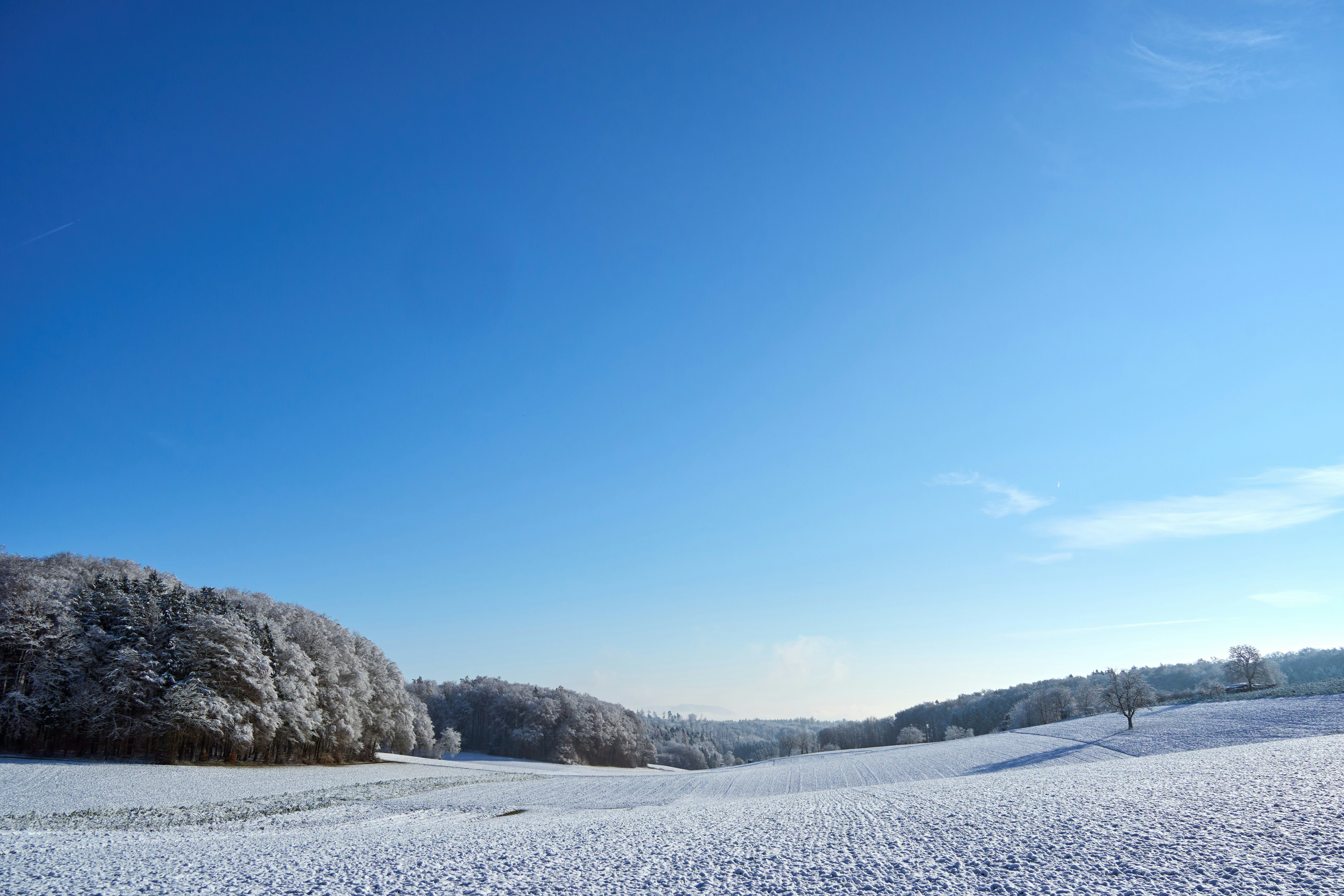 Photo by wolfgang_hasselmann