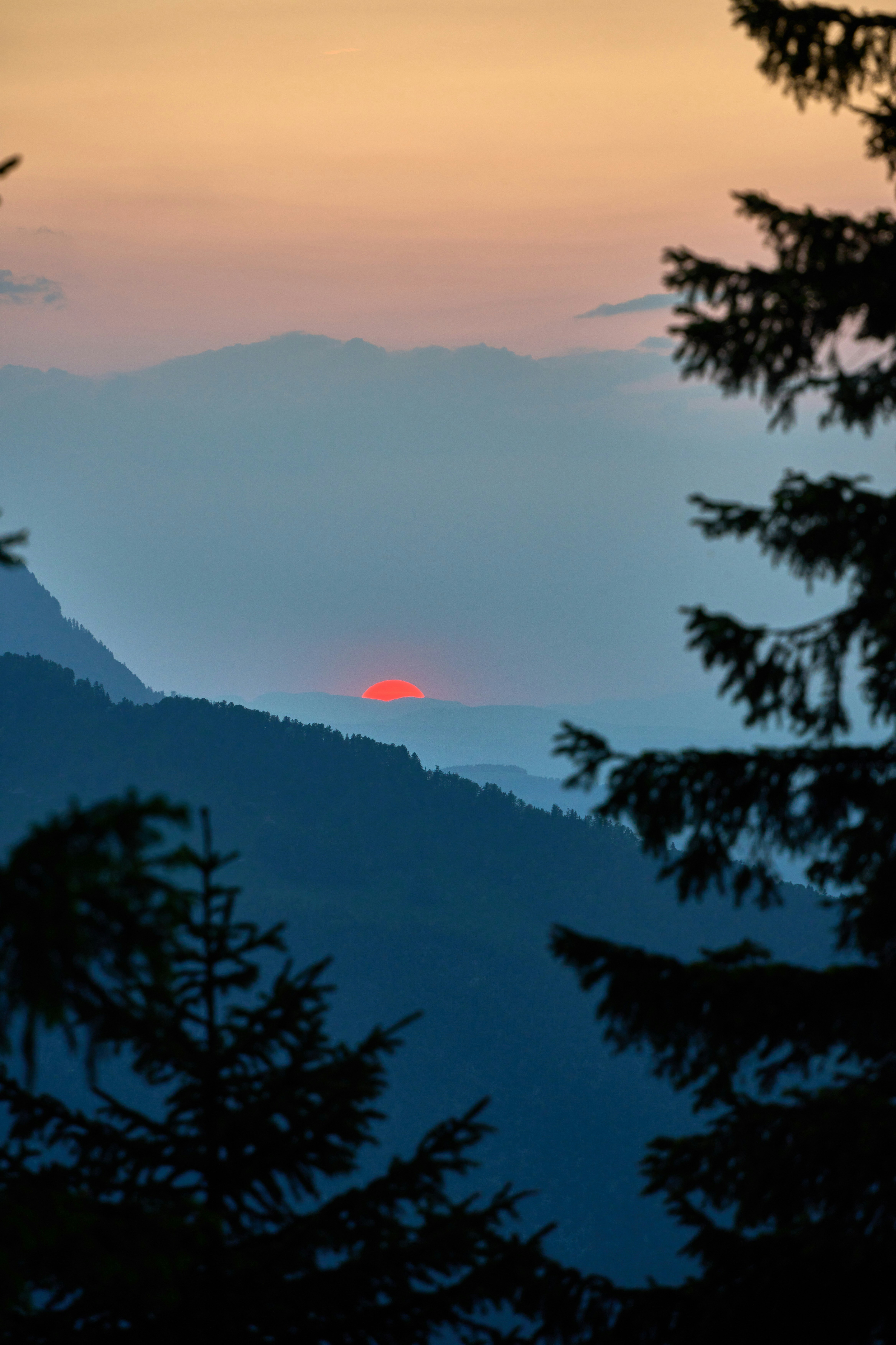 Photo by wolfgang_hasselmann