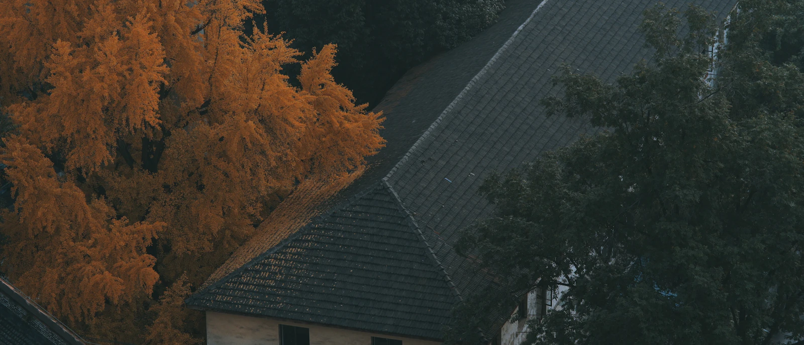 Maison et feuillage d'automne