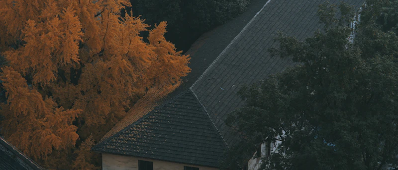 Maison et feuillage d'automne