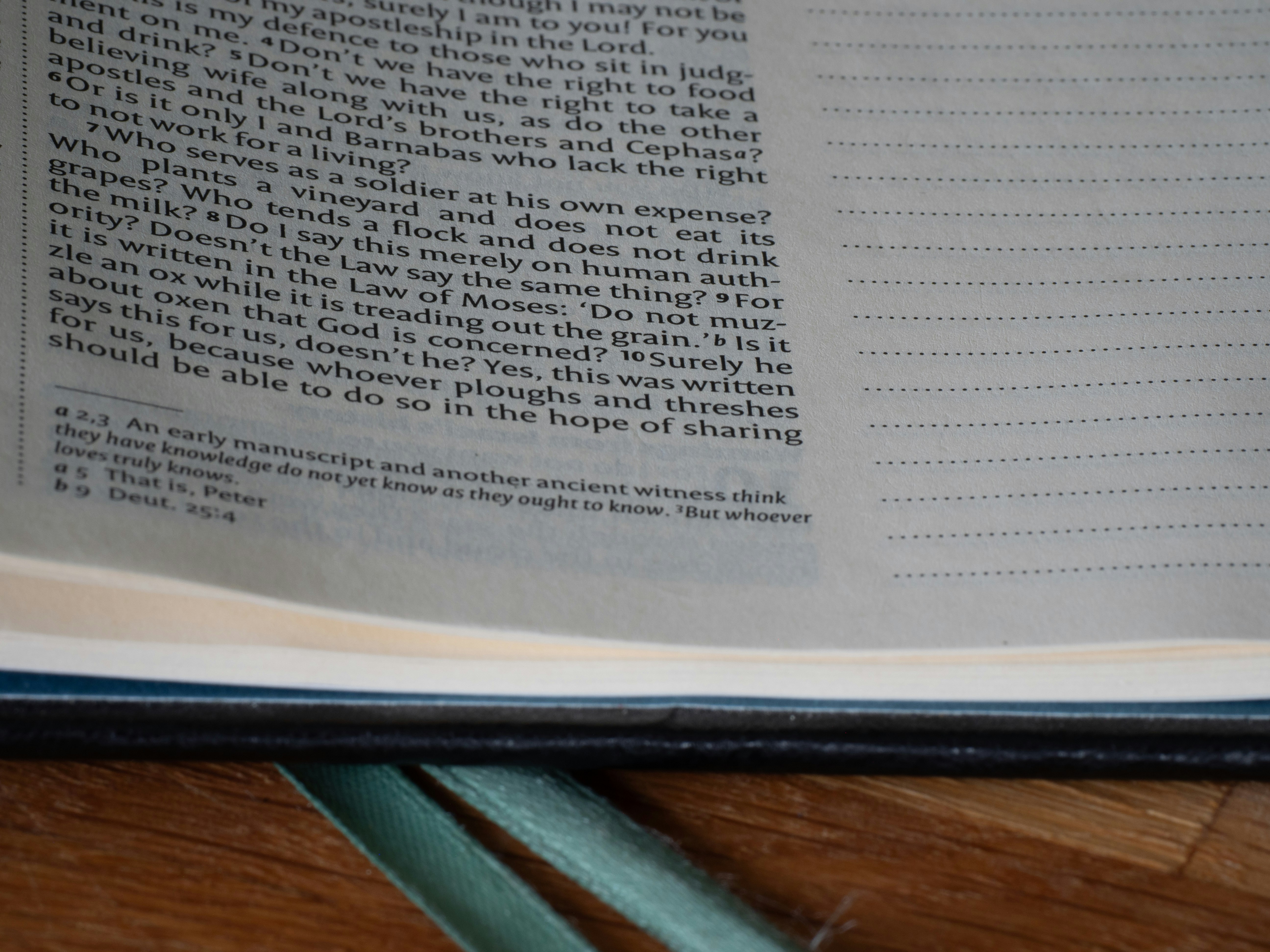 Photo by brett_jordan