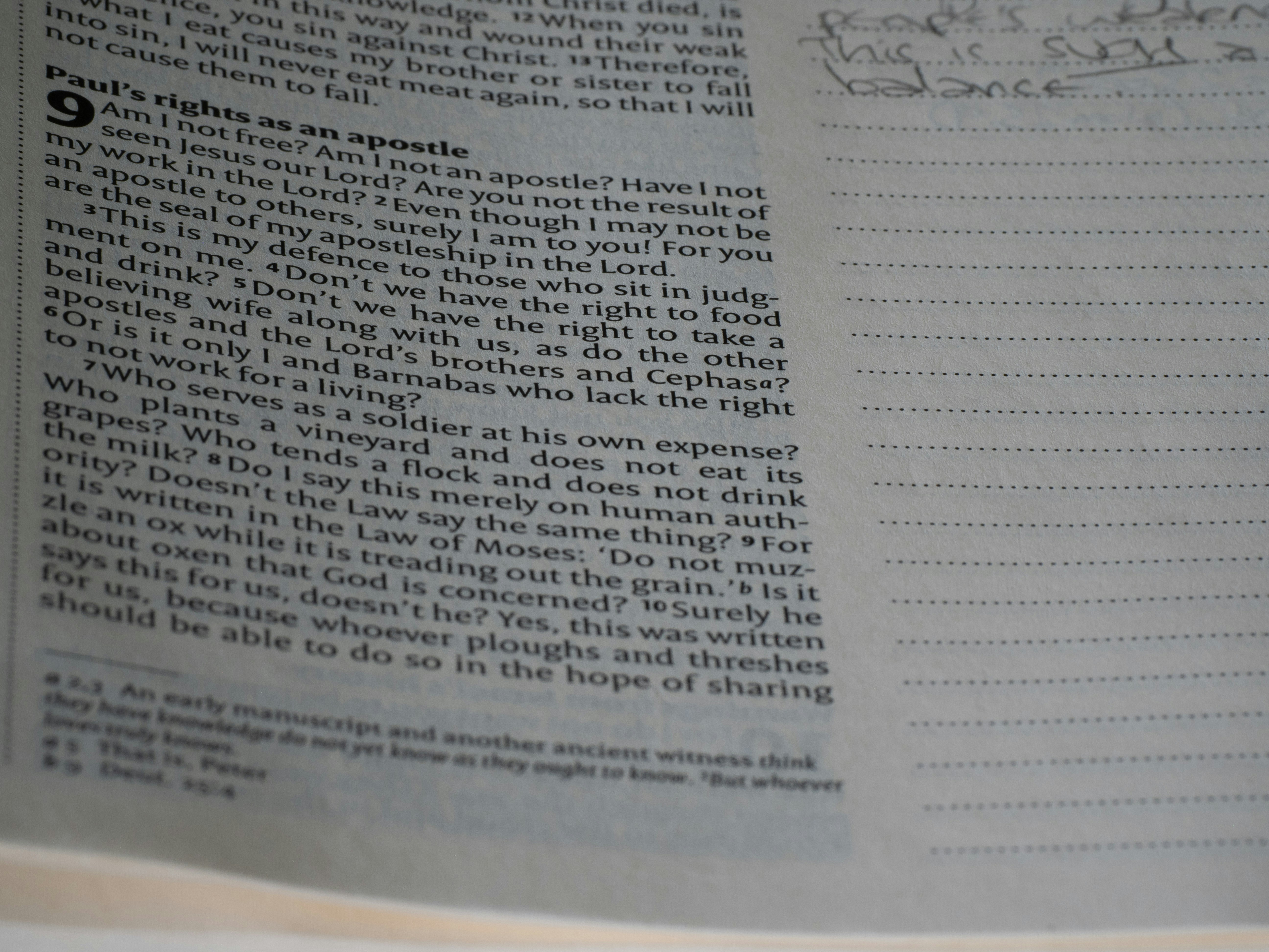 Photo by brett_jordan