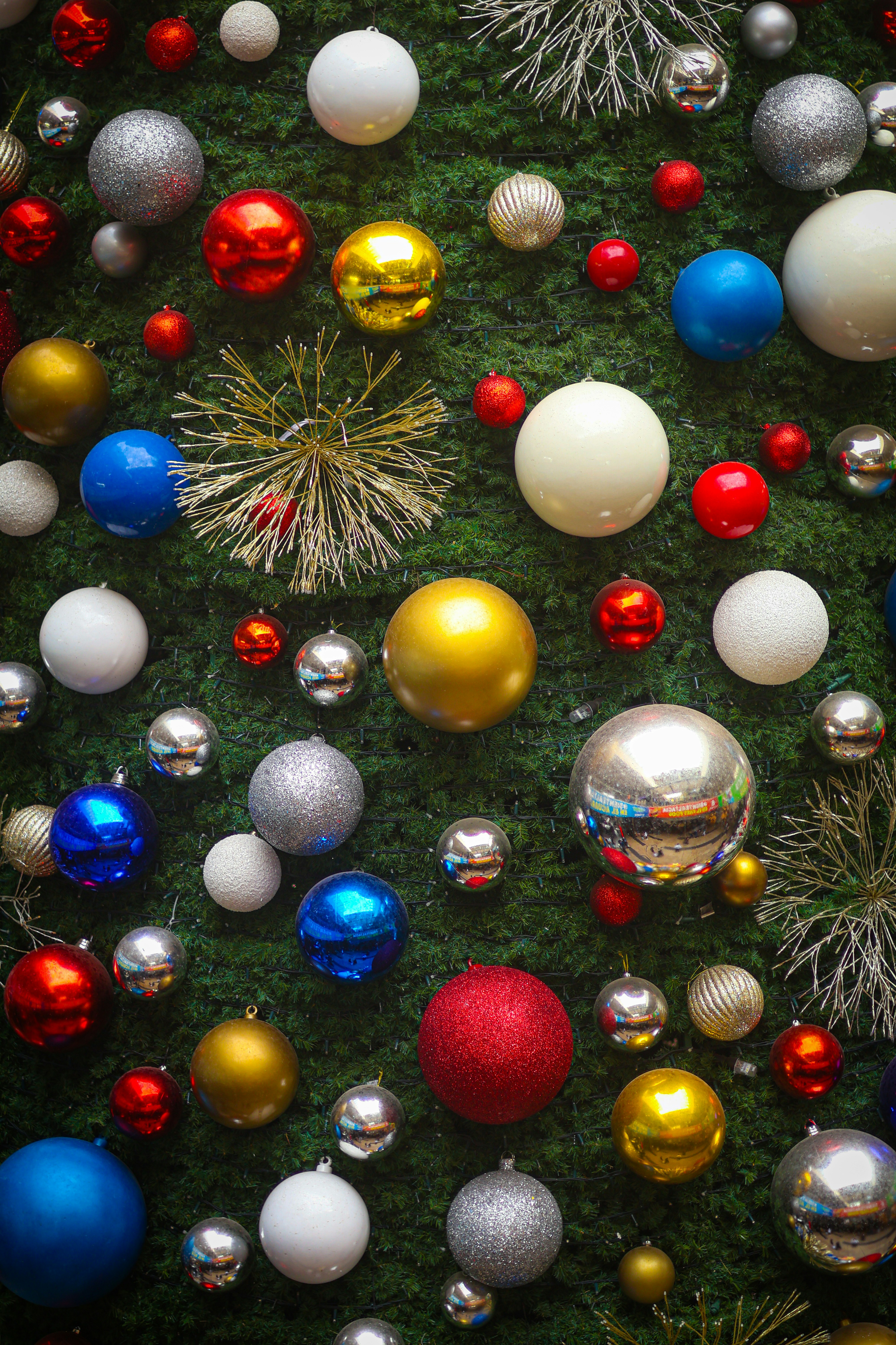 Photo by isvictorgonzalez