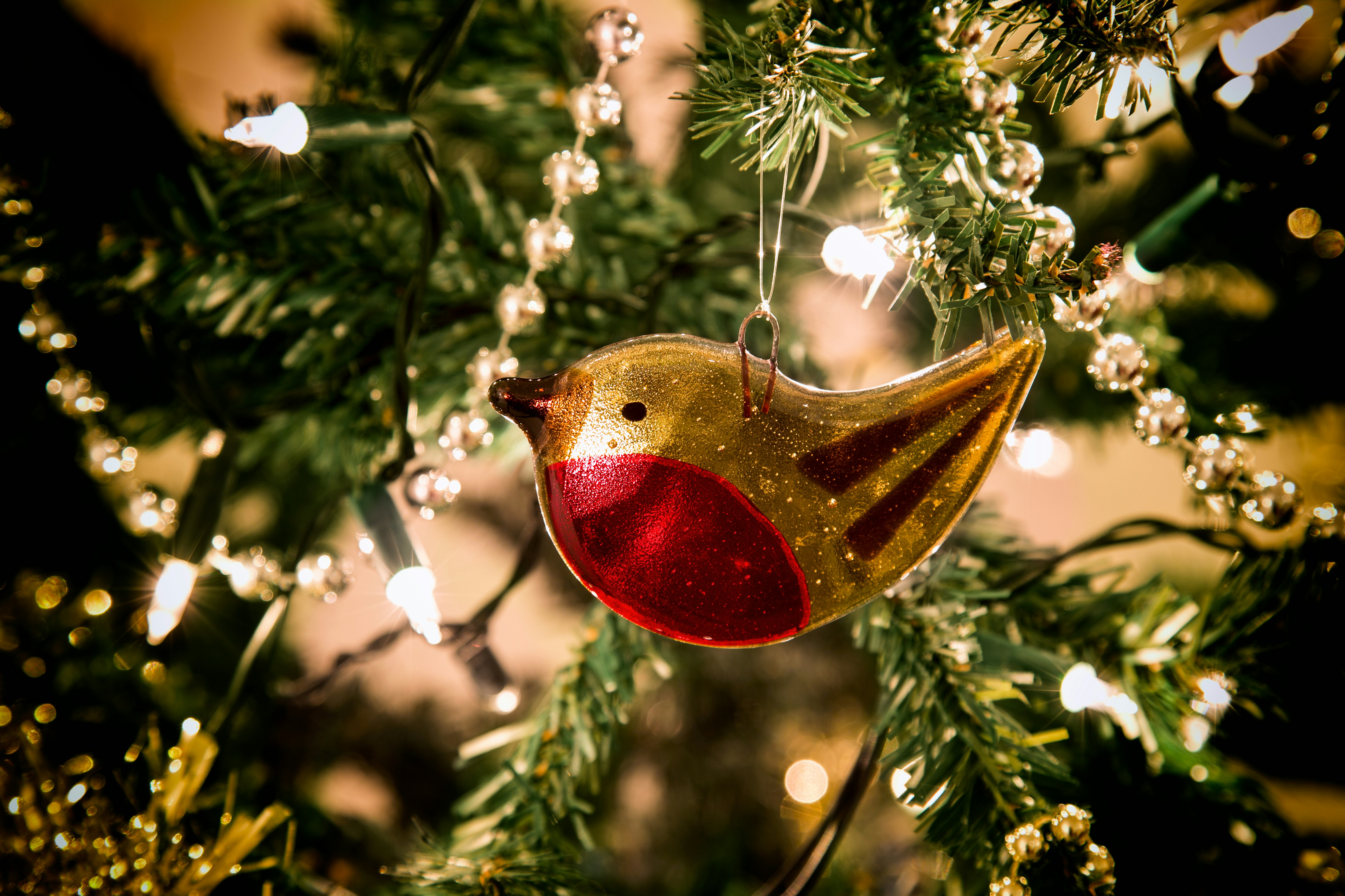 Un ornamento di uccello appeso a un albero di Natale
