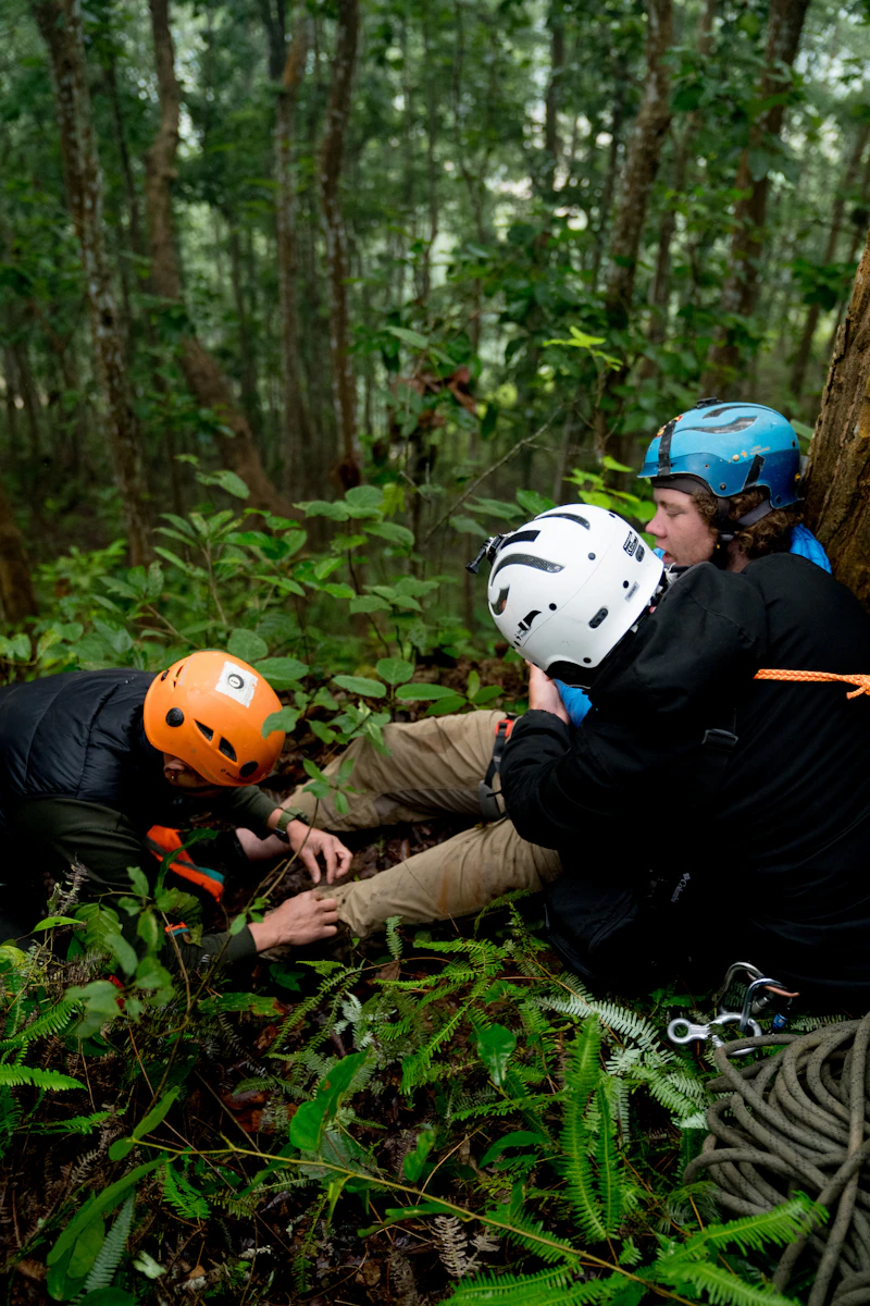 Group climbing in the woods
