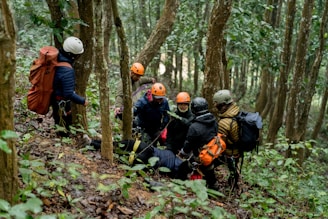 A group of people climbing up a hill in the woods