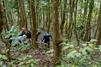 A group of people standing in the middle of a forest