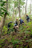 A group of people climbing up a hill in the woods