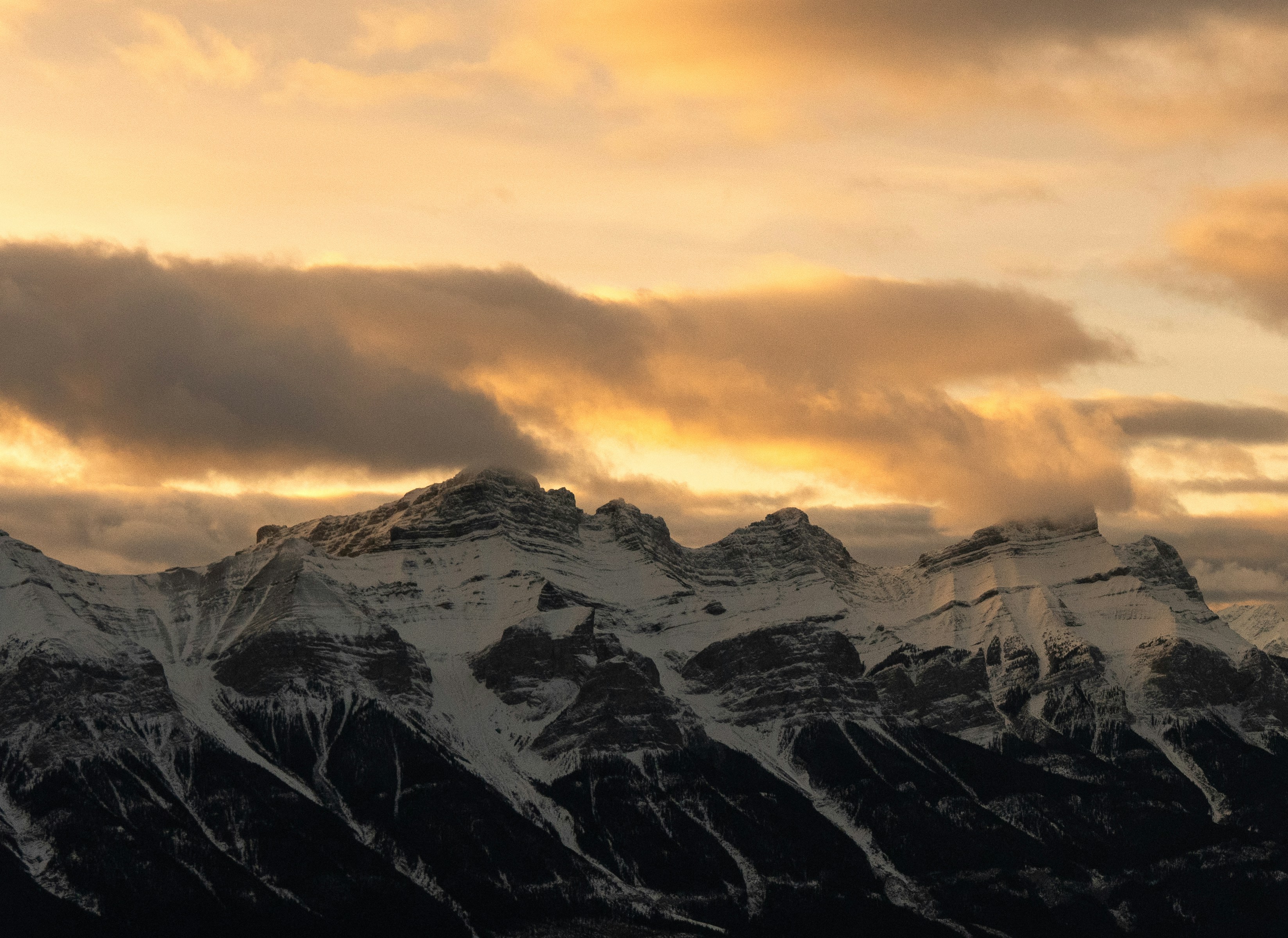 Photo by lukedelguercio