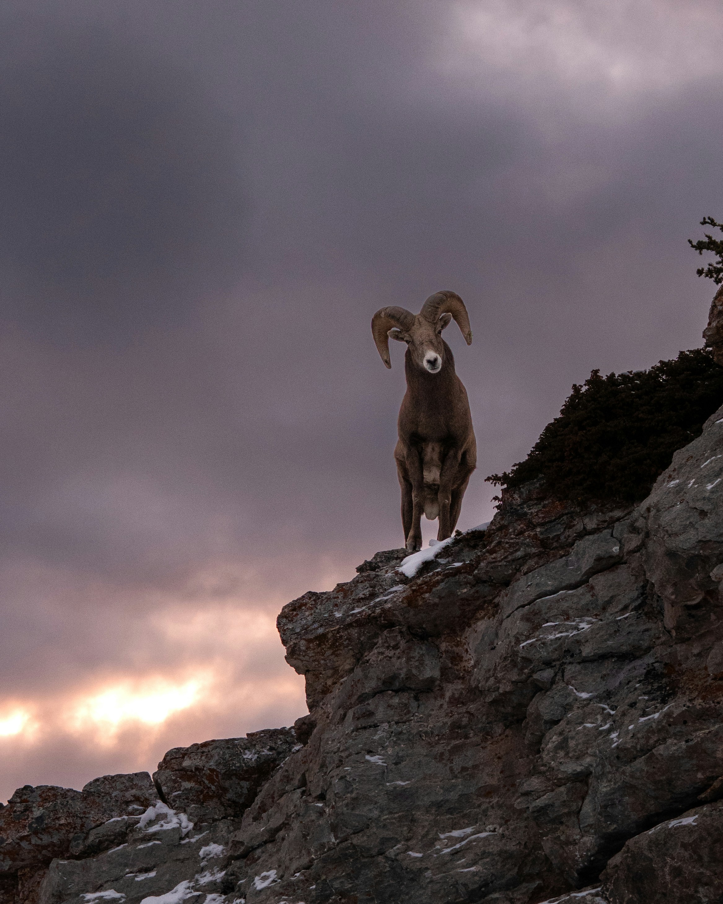 Photo by lukedelguercio