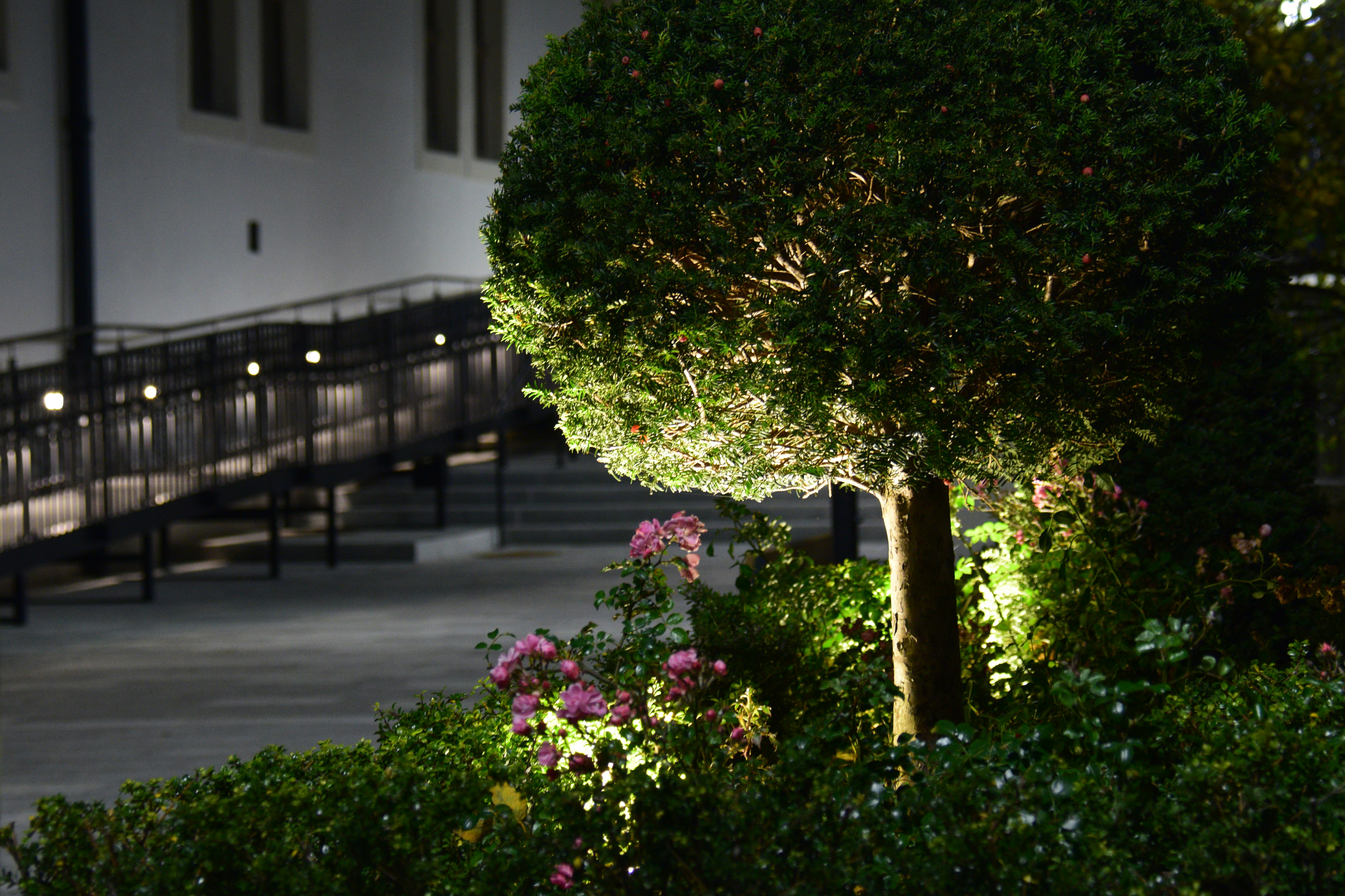 solar garden lights
