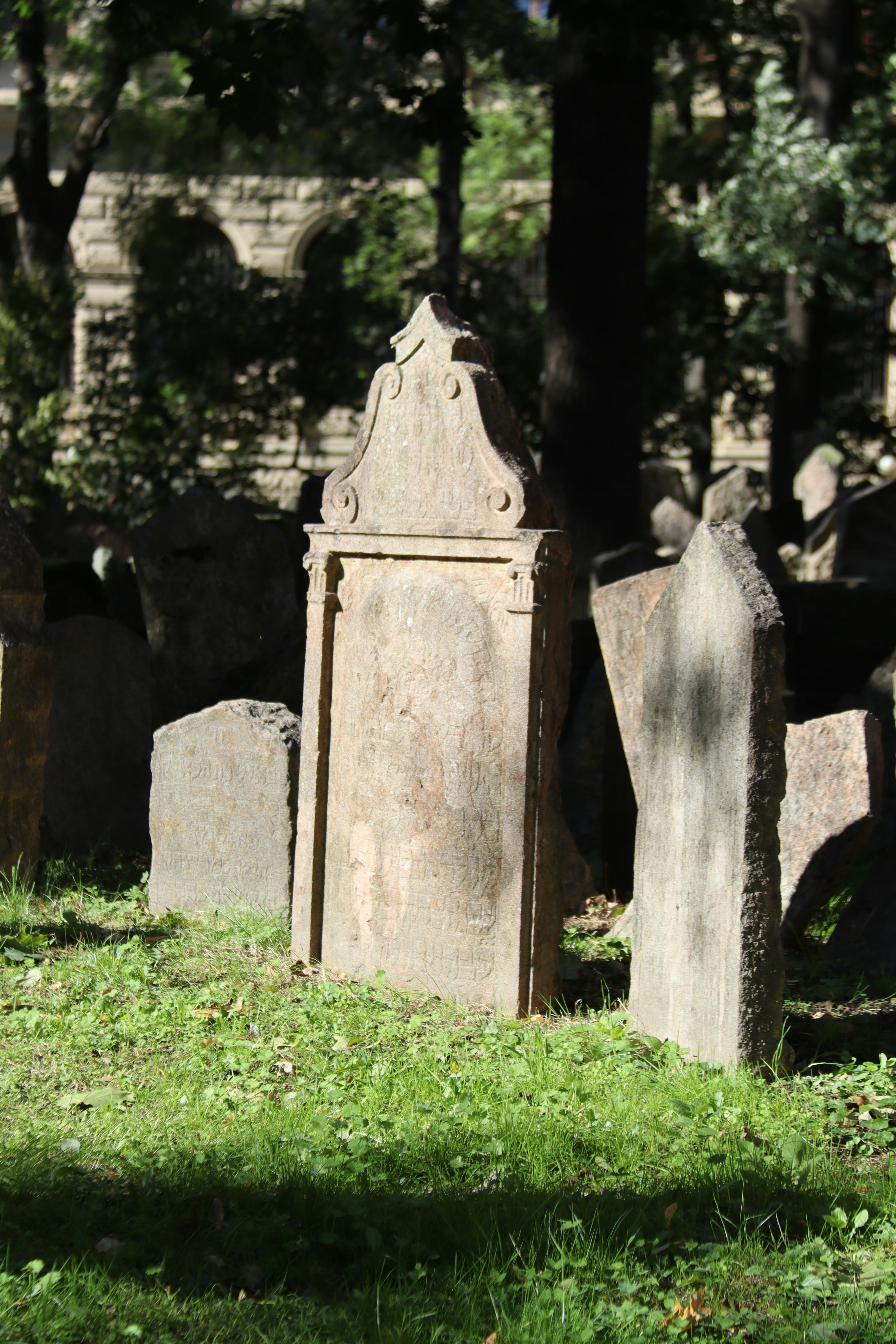 Photo by shalevcohen