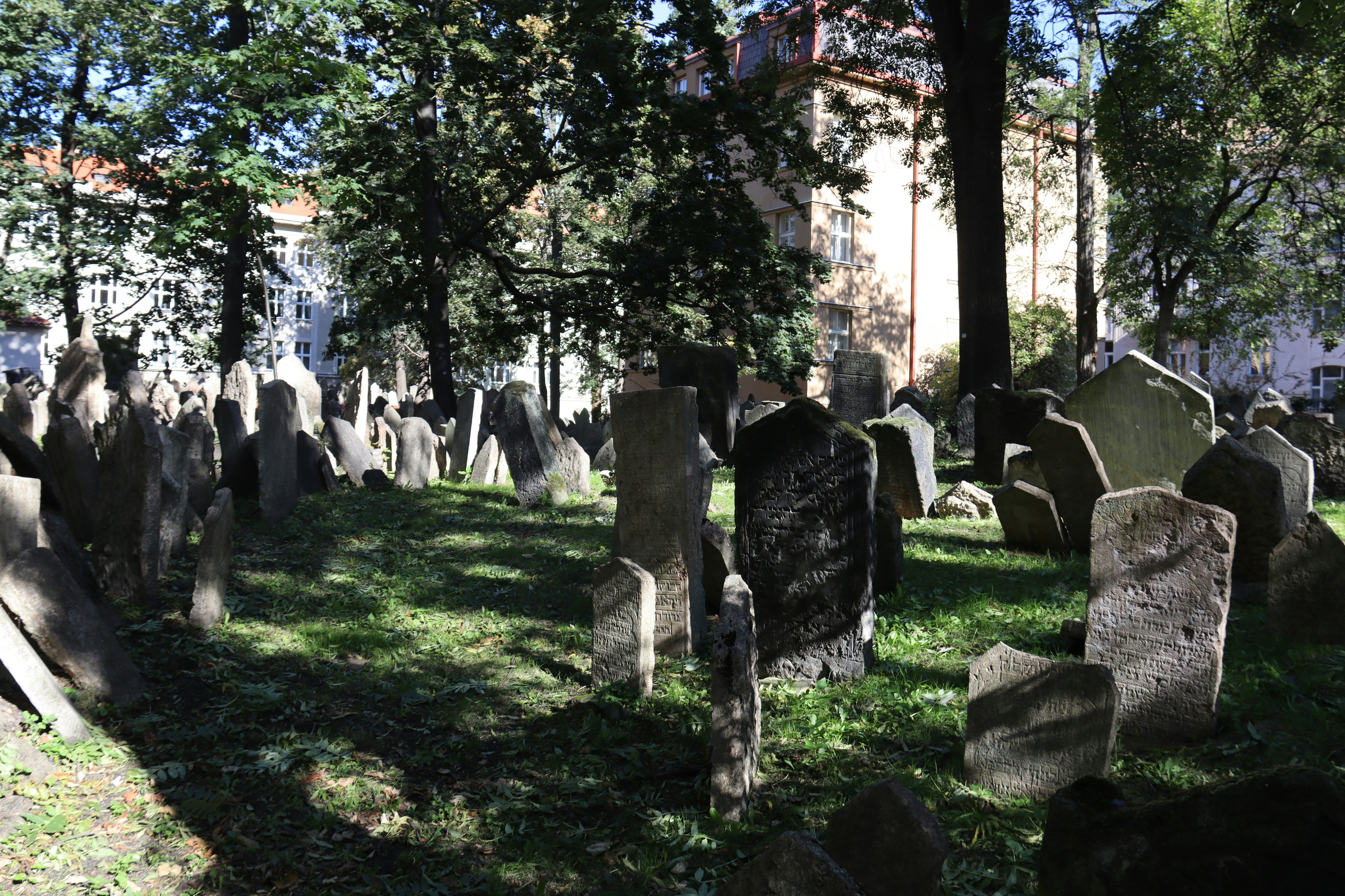 Photo by shalevcohen