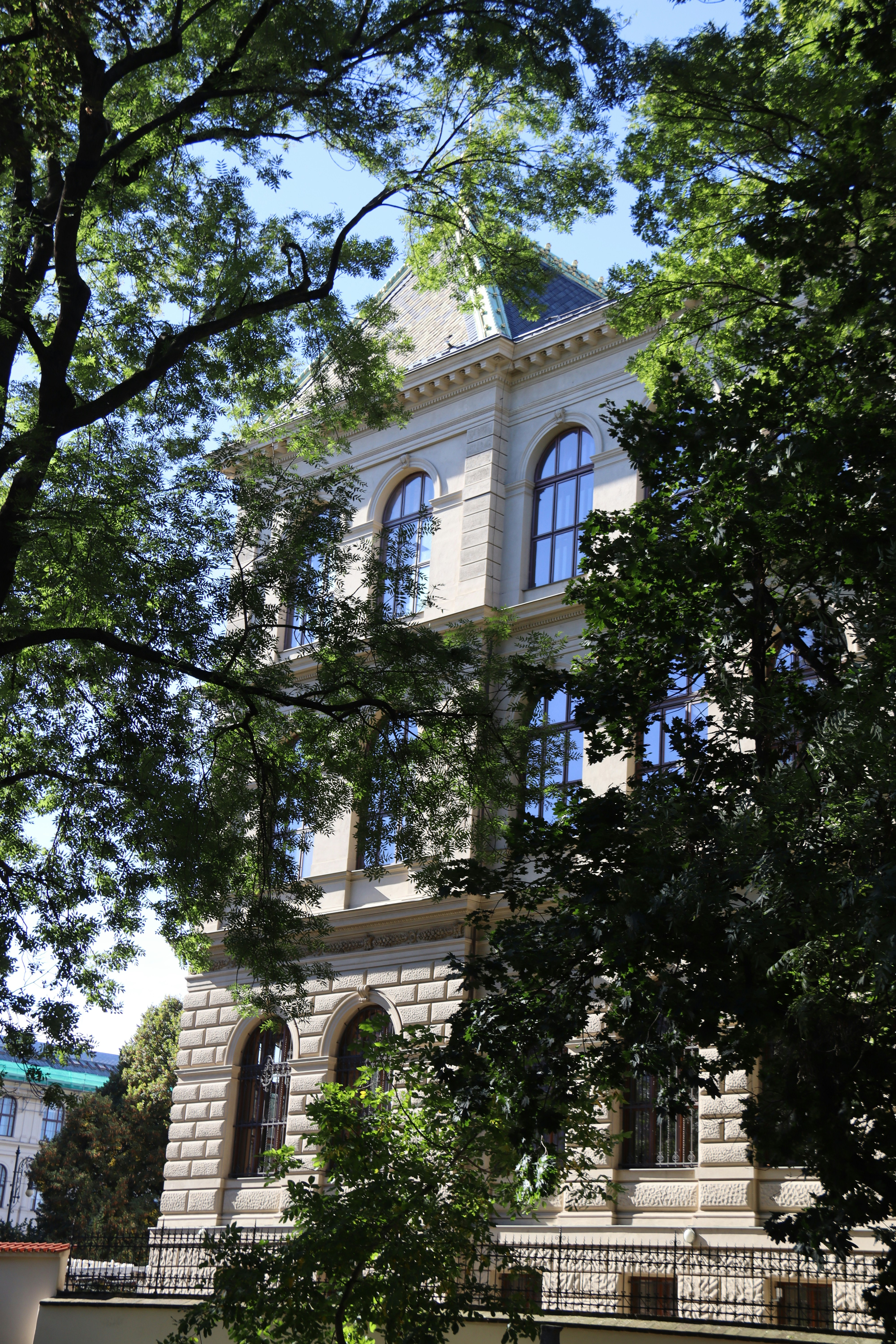 Photo by shalevcohen