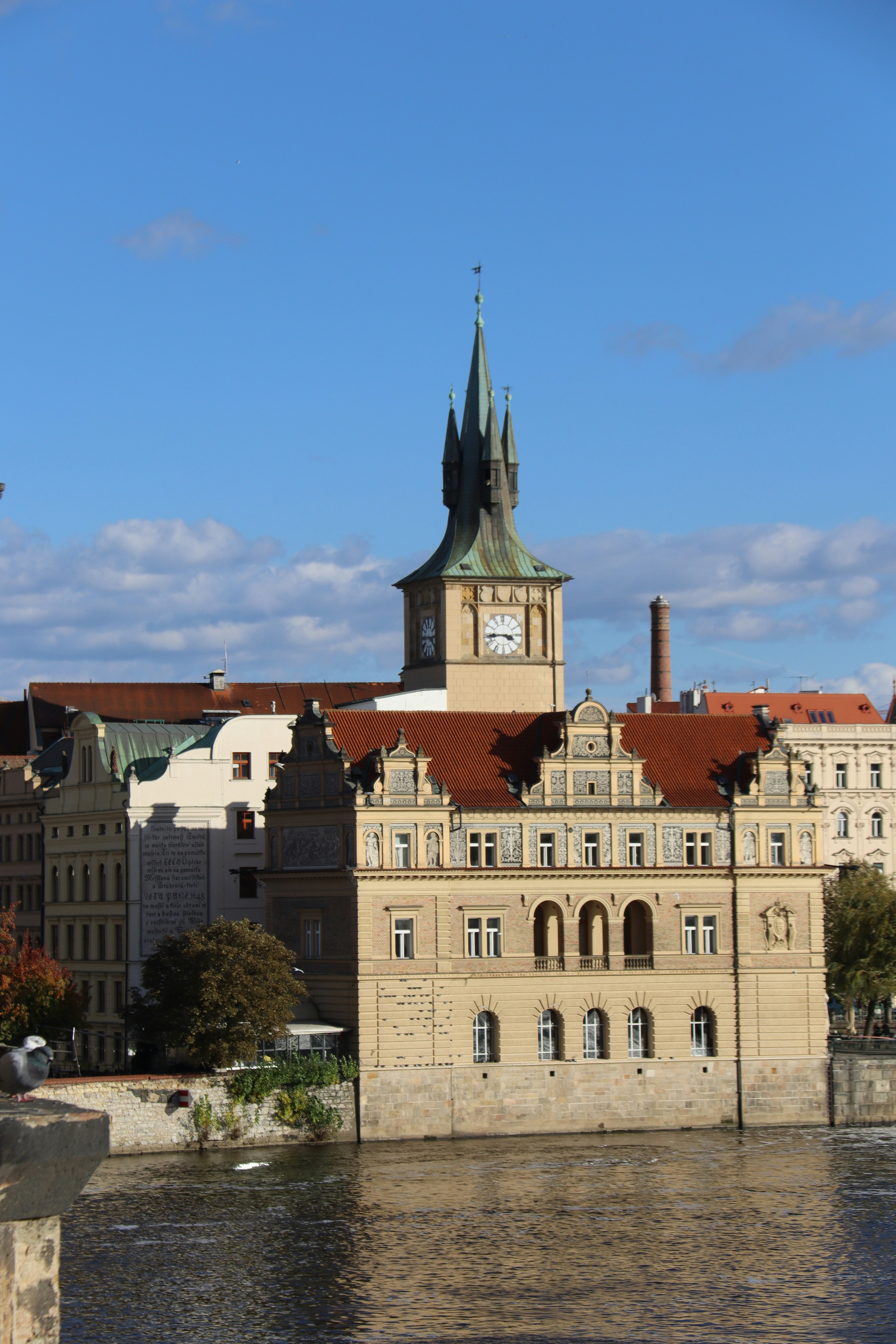 Photo by shalevcohen