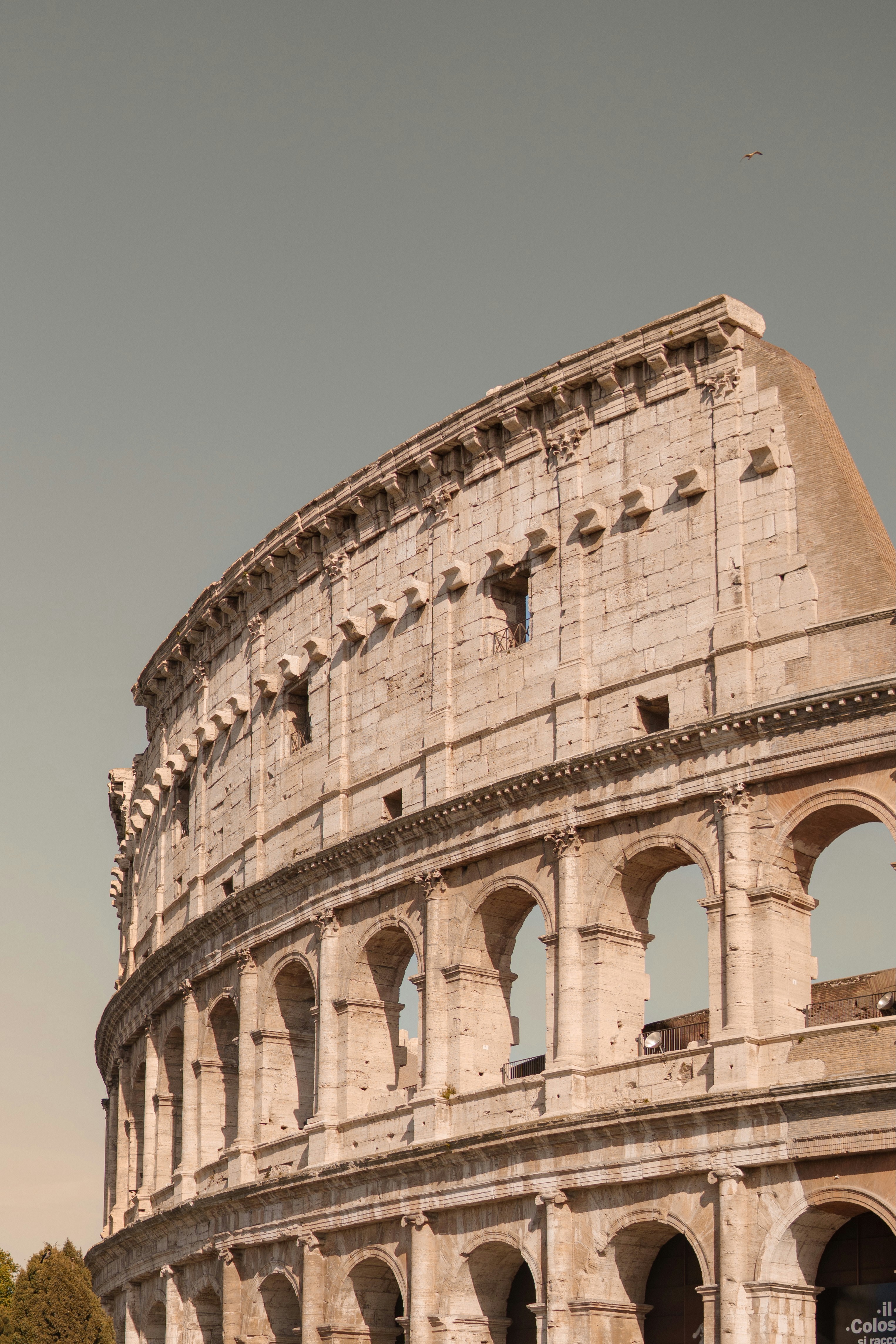 Photo by jcamilo_2410