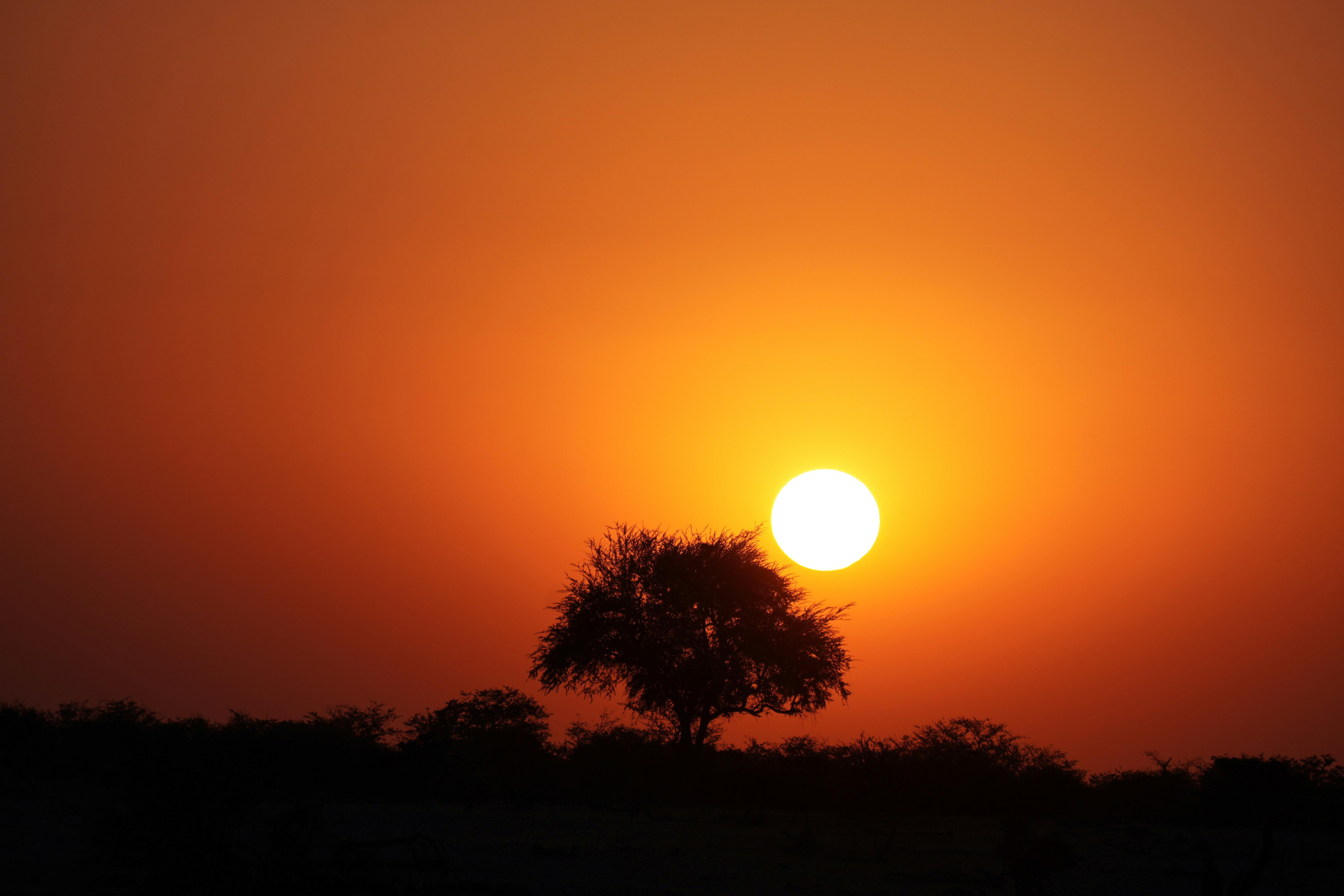 Photo by worldchris75