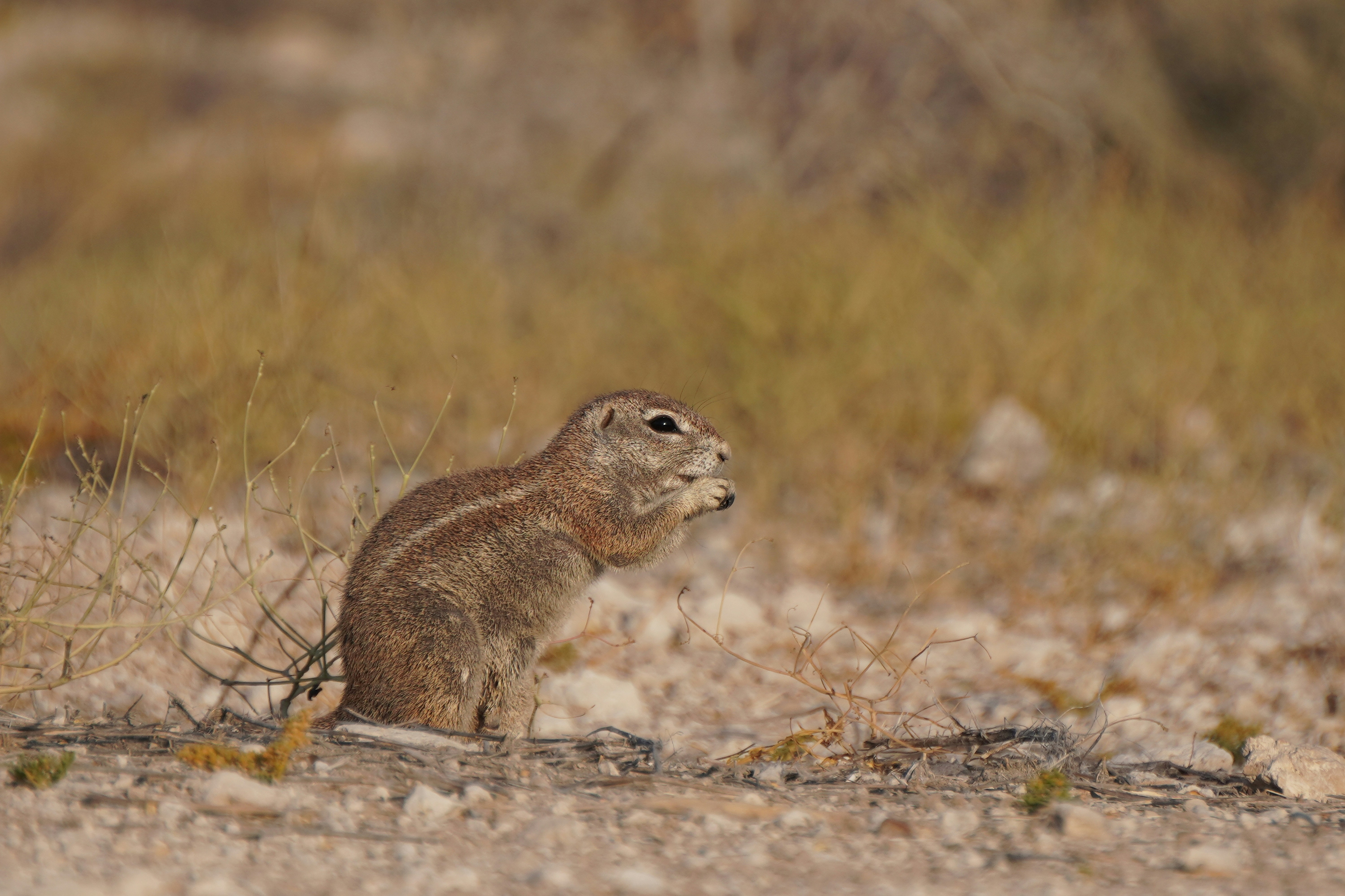 Photo by worldchris75