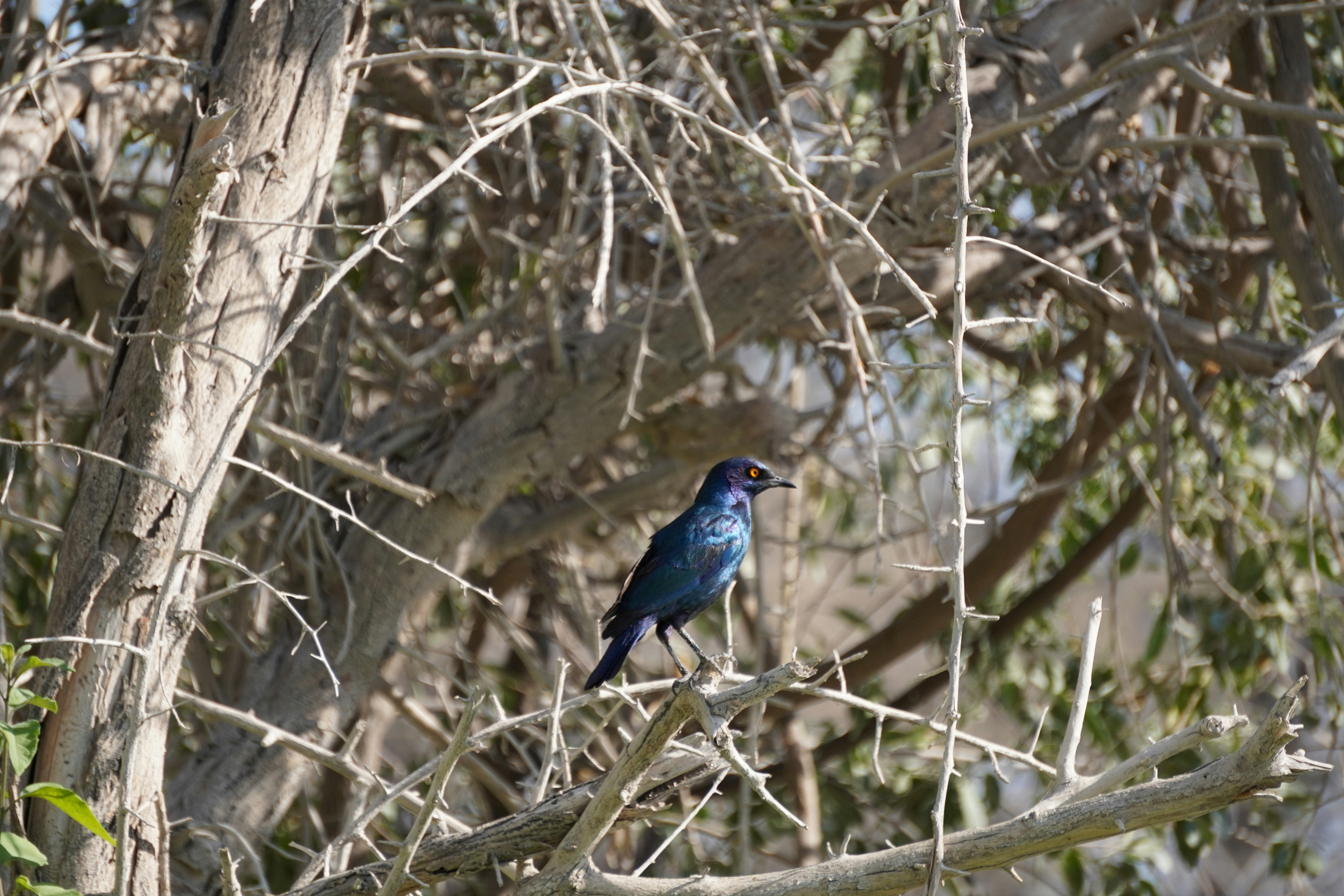 Photo by worldchris75