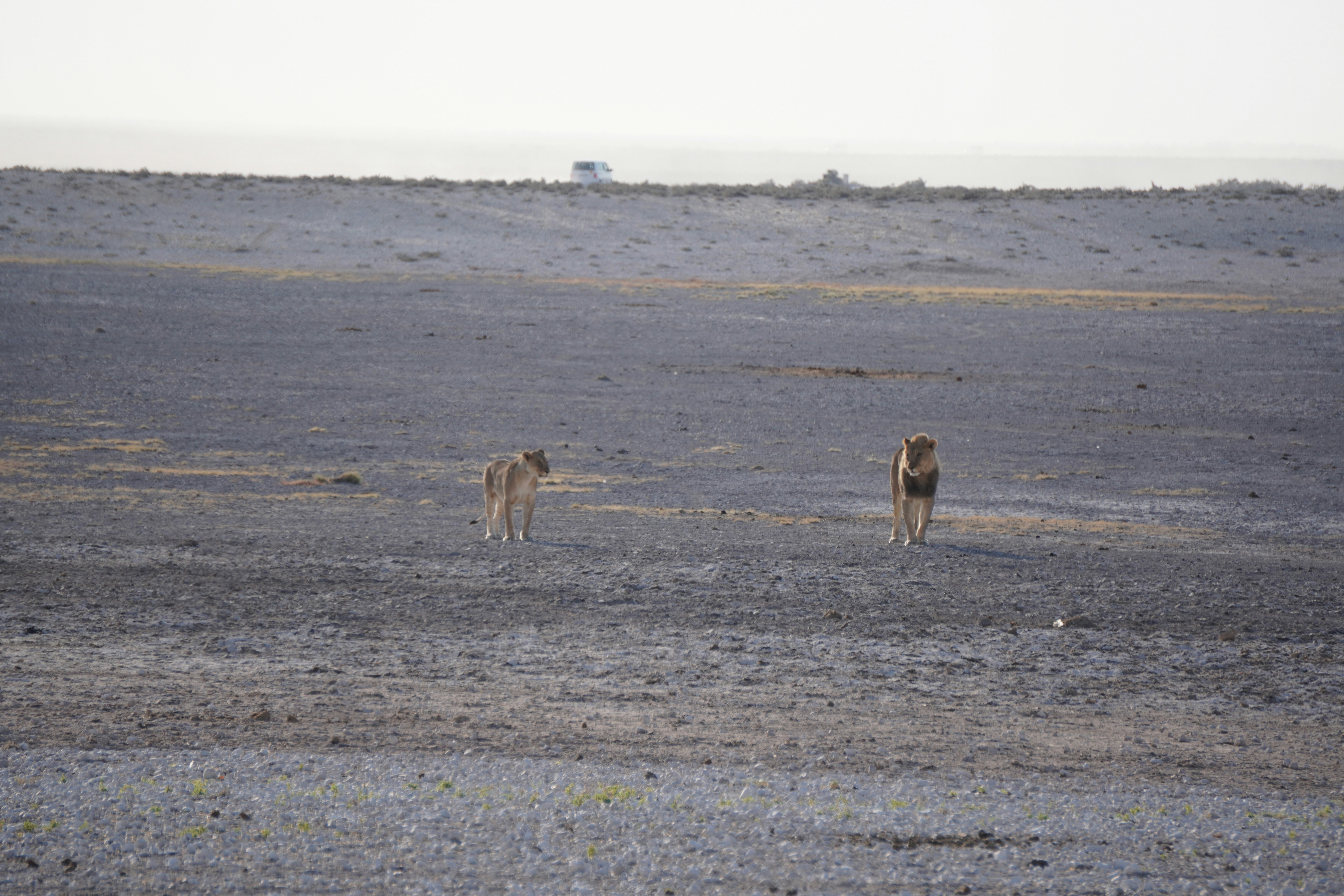 Photo by worldchris75