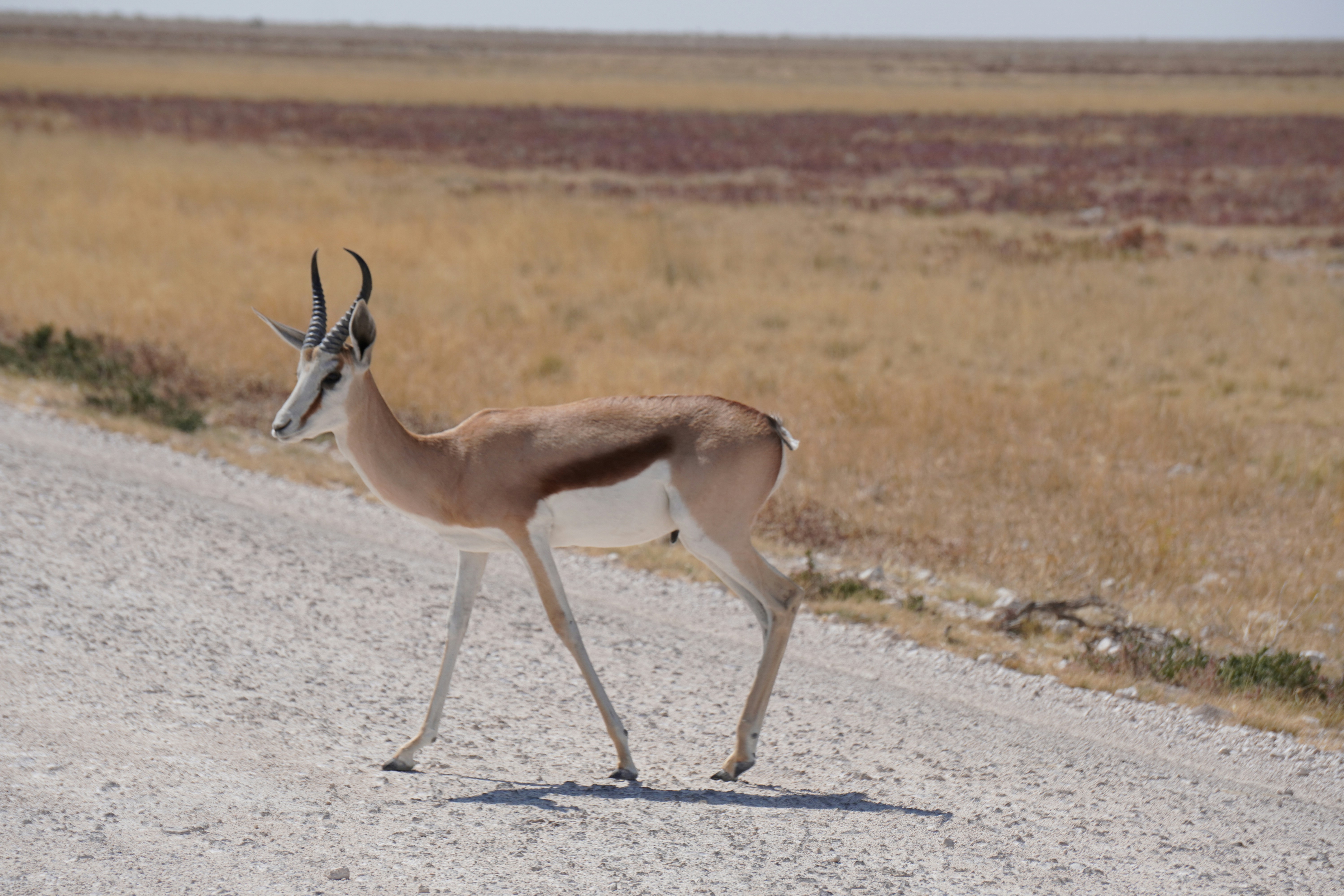 Photo by worldchris75