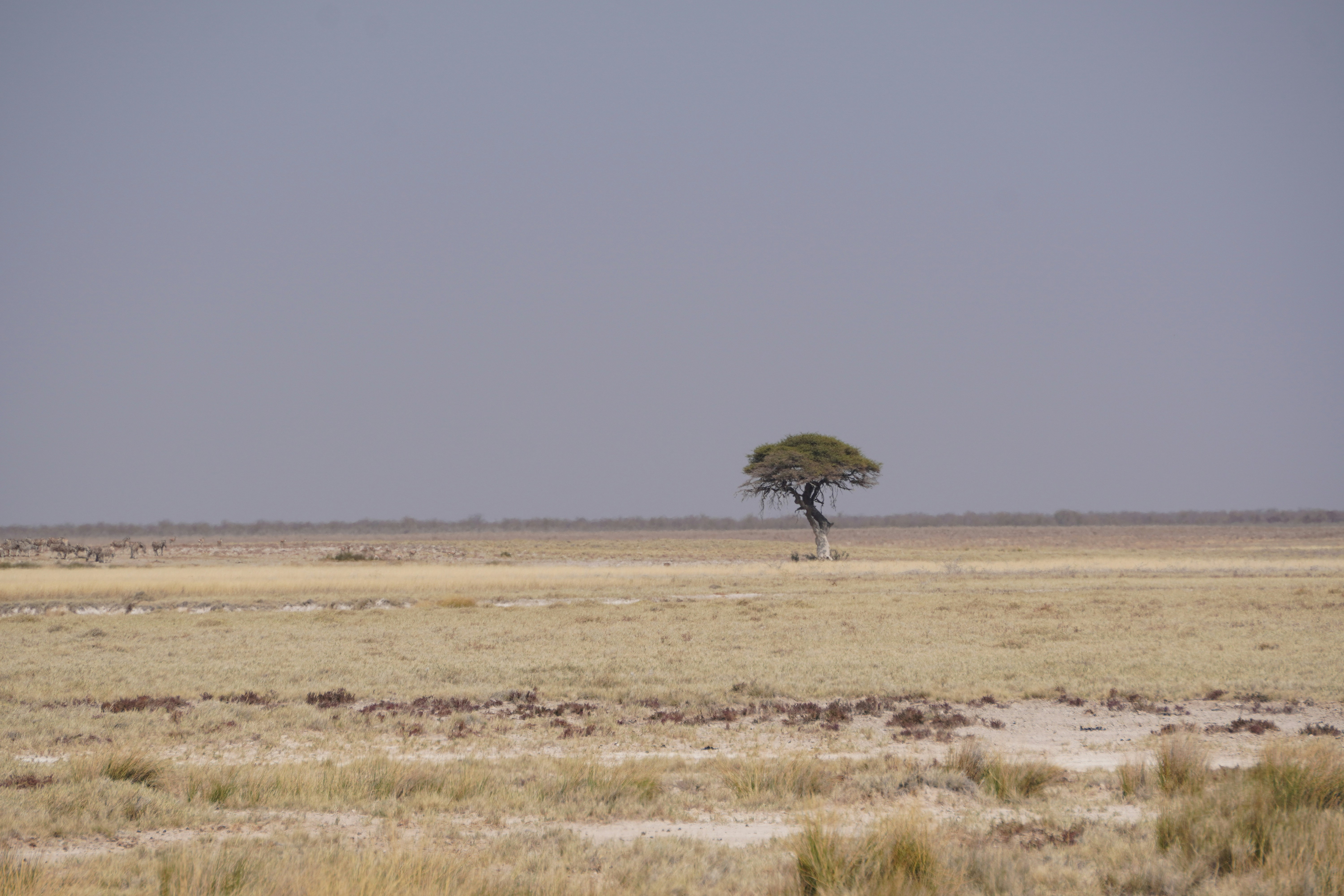 Photo by worldchris75