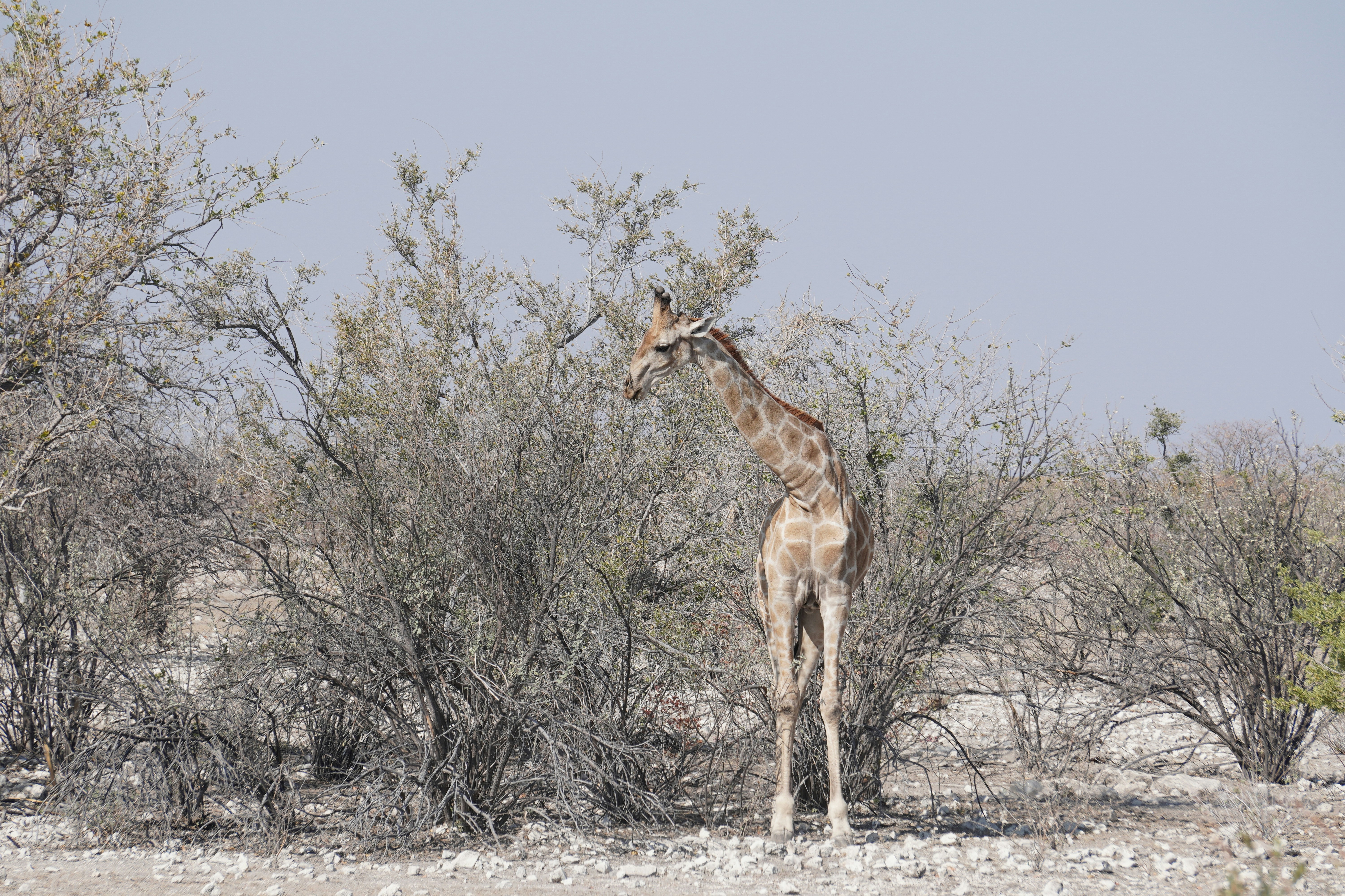 Photo by worldchris75