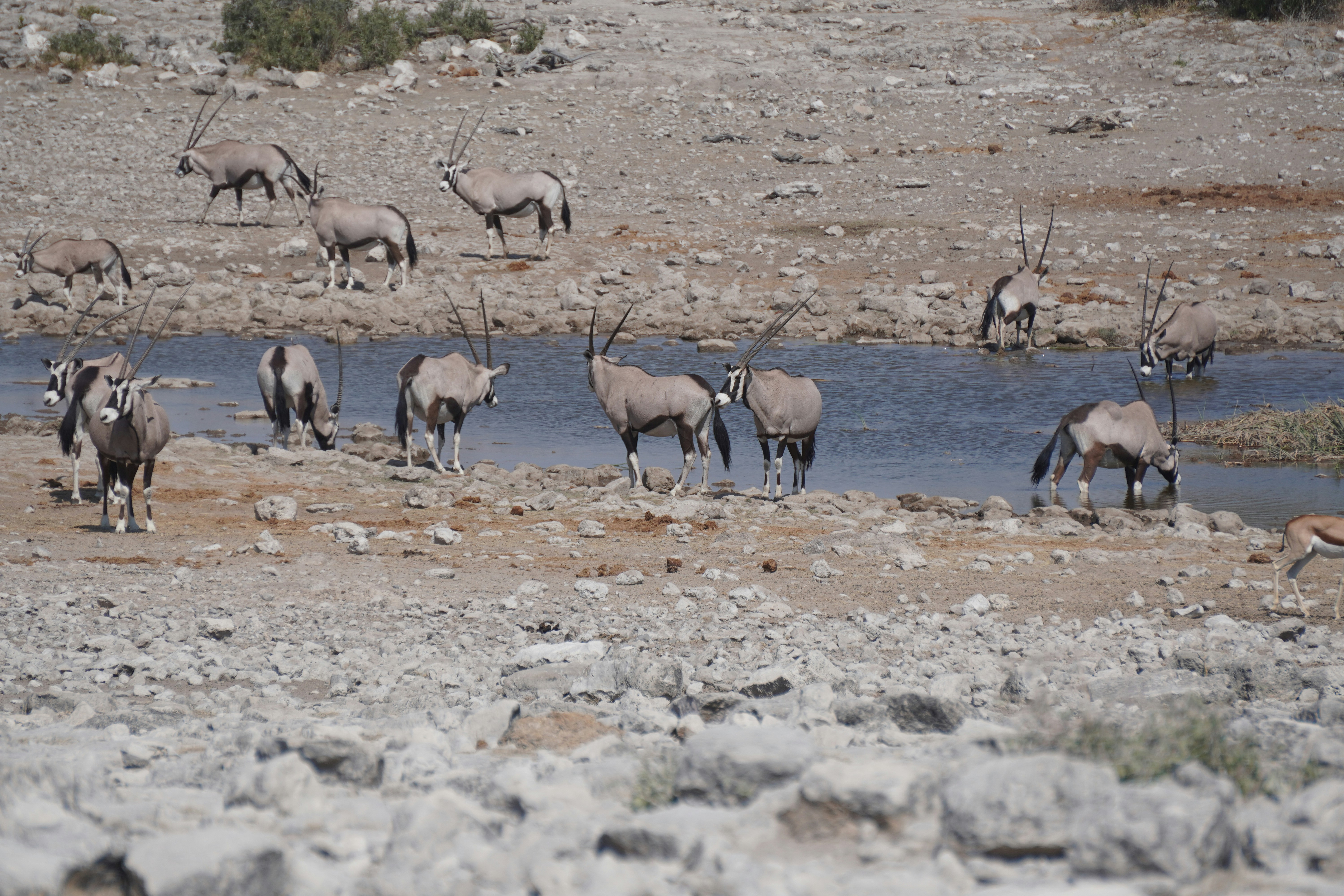 Photo by worldchris75