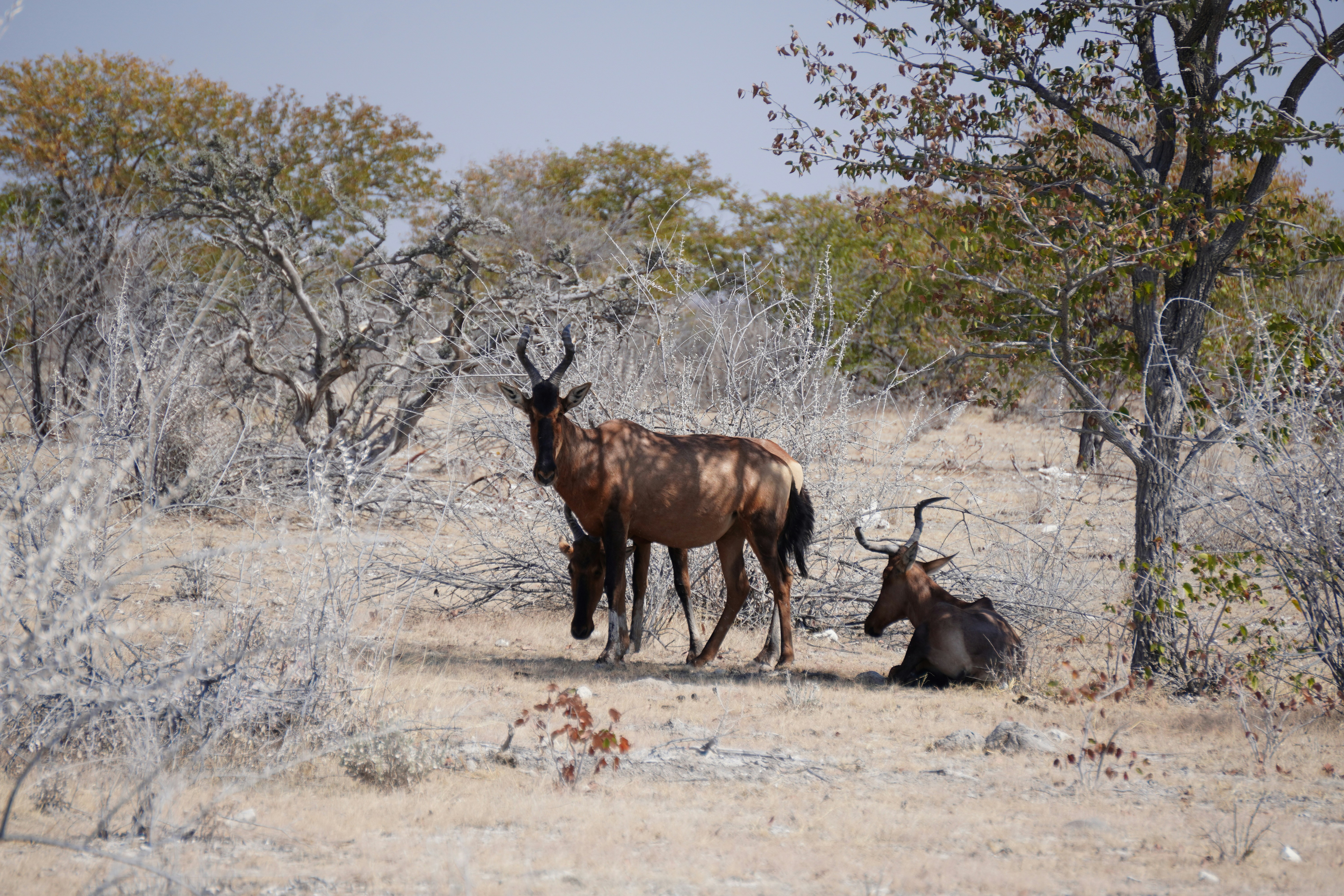 Photo by worldchris75