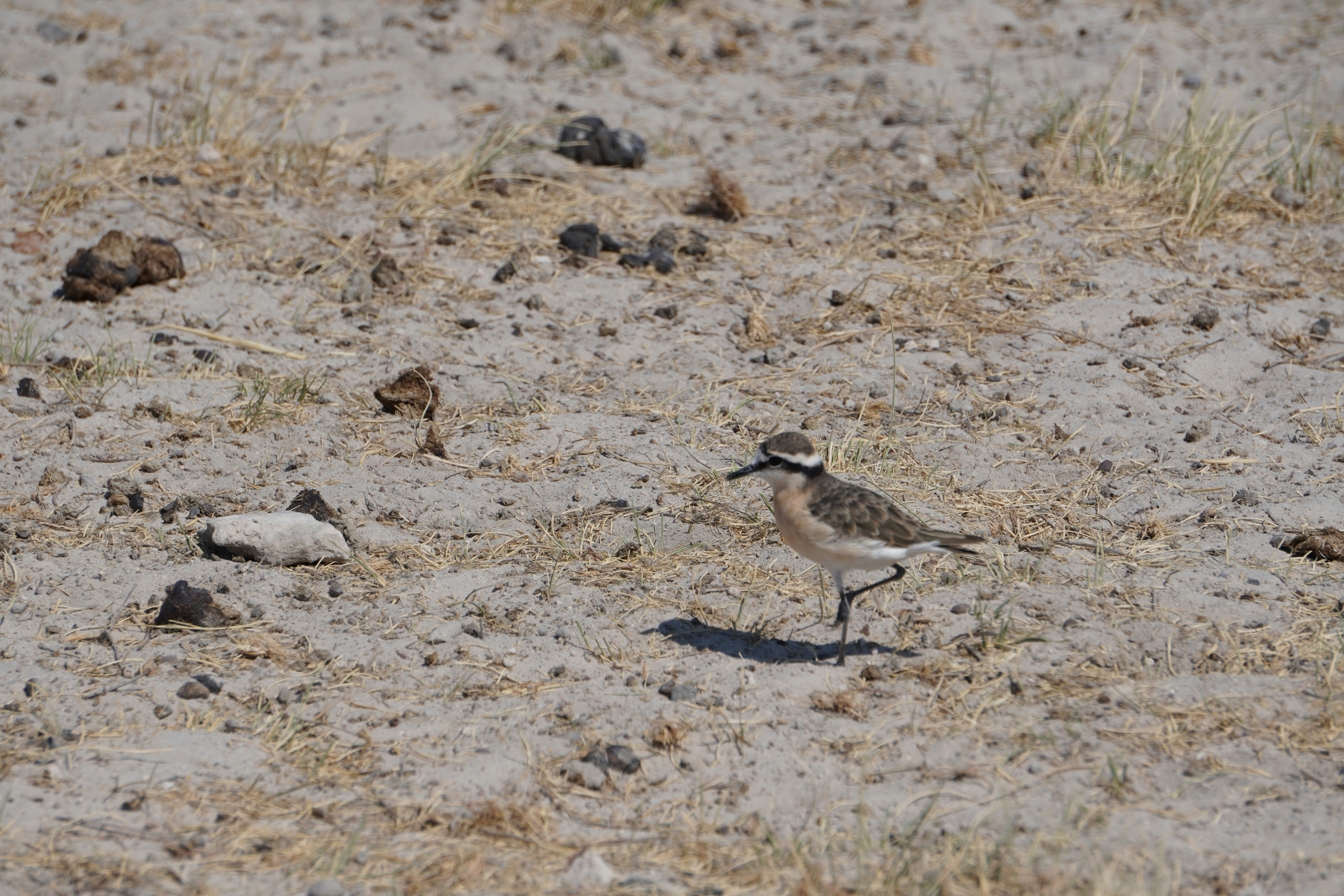 Photo by worldchris75