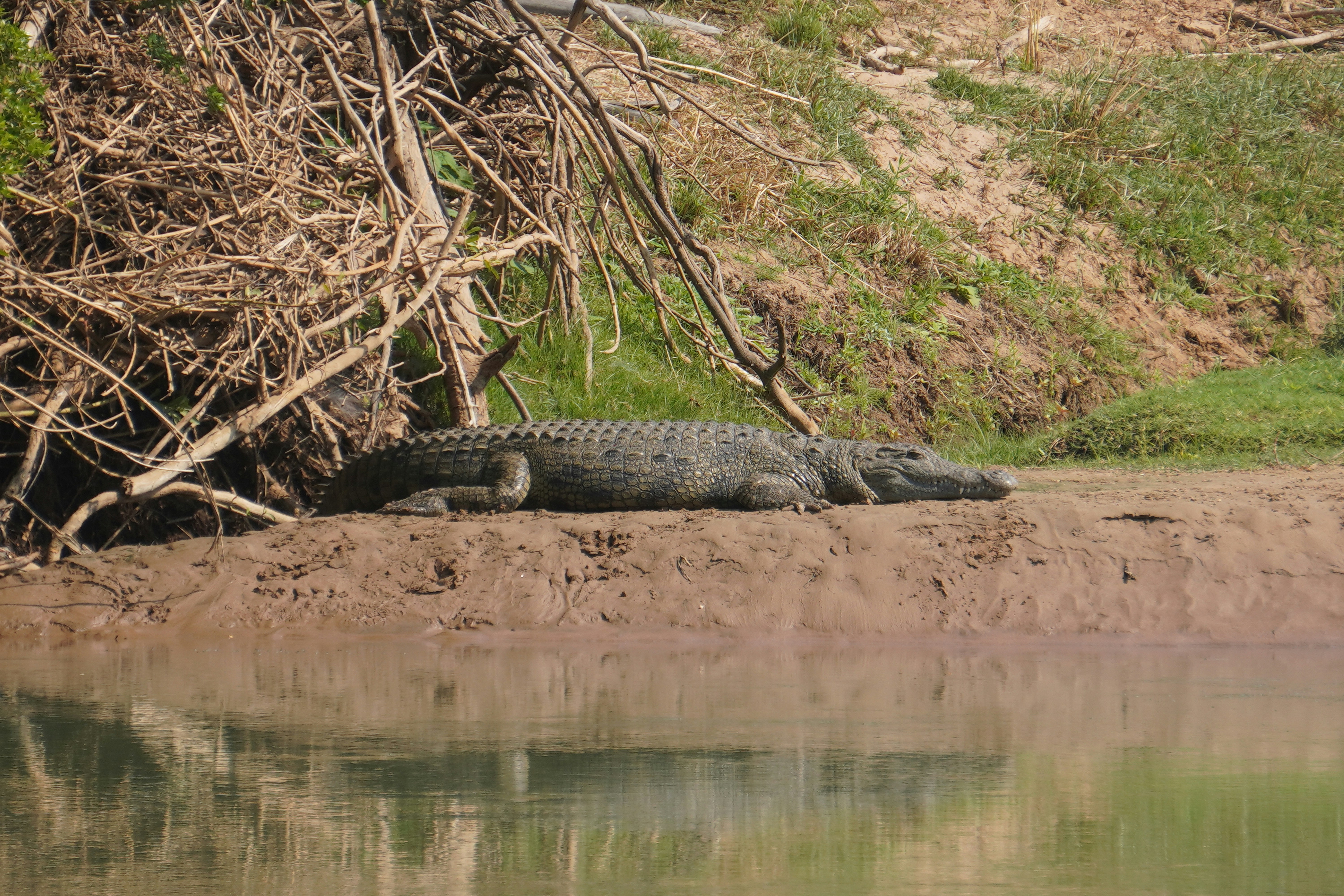 Photo by worldchris75