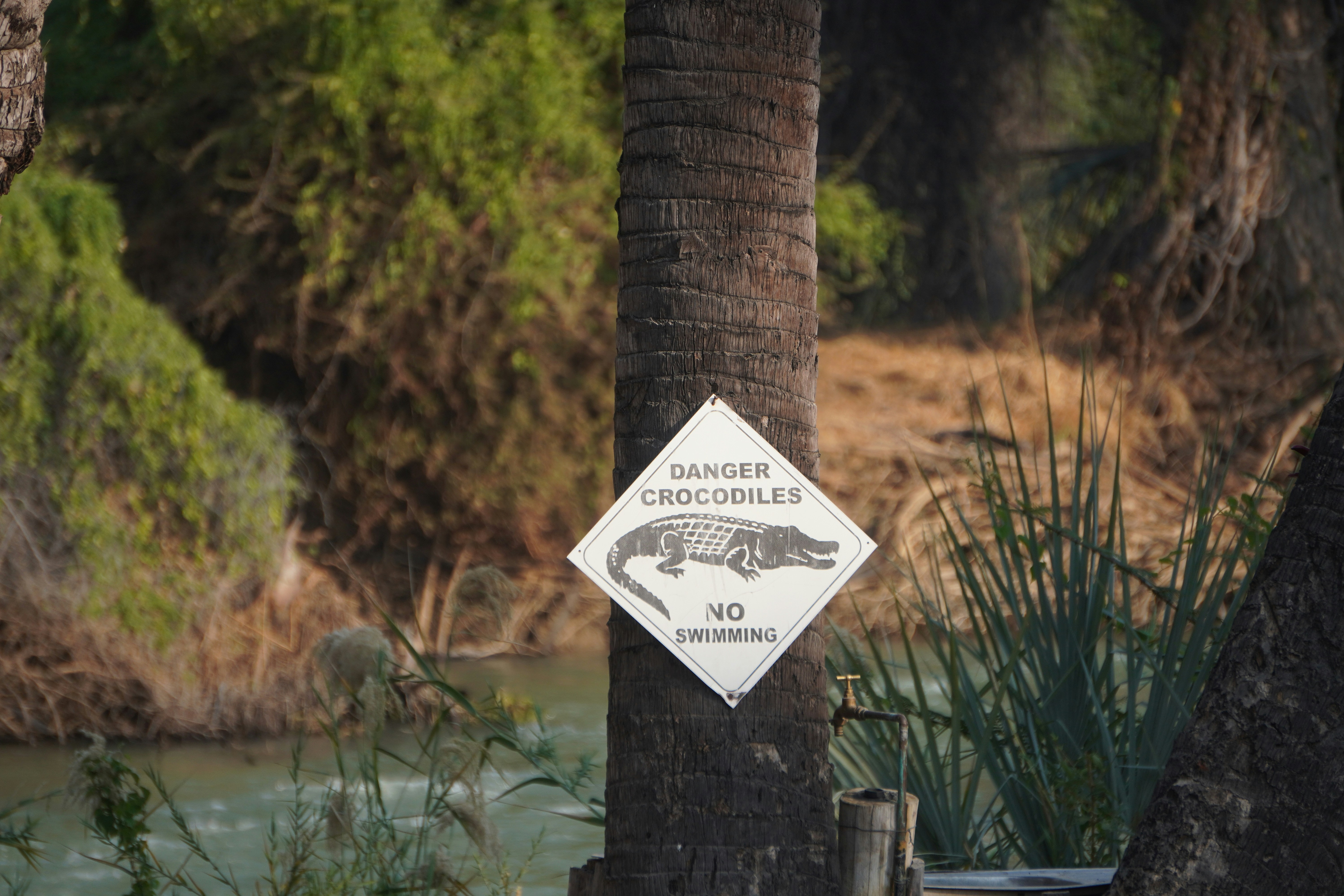 photo 1734454218224 7b213c1e0efe?crop=entropy&cs=tinysrgb&fit=max&fm=jpg&ixid=M3w1MjQ0NjR8MHwxfHNlYXJjaHwxNXx8UGVzdCUyMENvbnRyb2wlMjBTZXJ2aWNlJTIwRGVsdG9uYSUyMEZsb3JpZGF8ZW58MHwwfHx8MTc2MDI5OTYxNnww&ixlib=rb 4.1